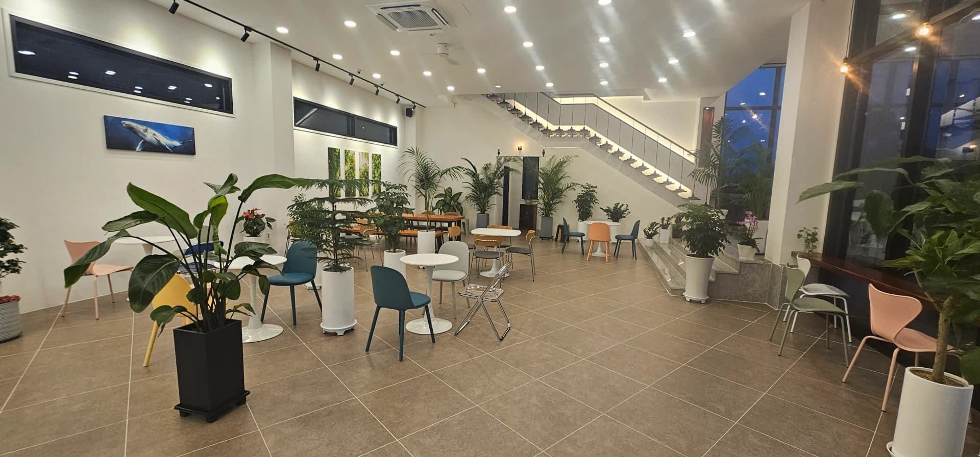 카페 반내 좌석 — 청록, 노랑, 핑크, 오렌지색 의자와 큰 화분들