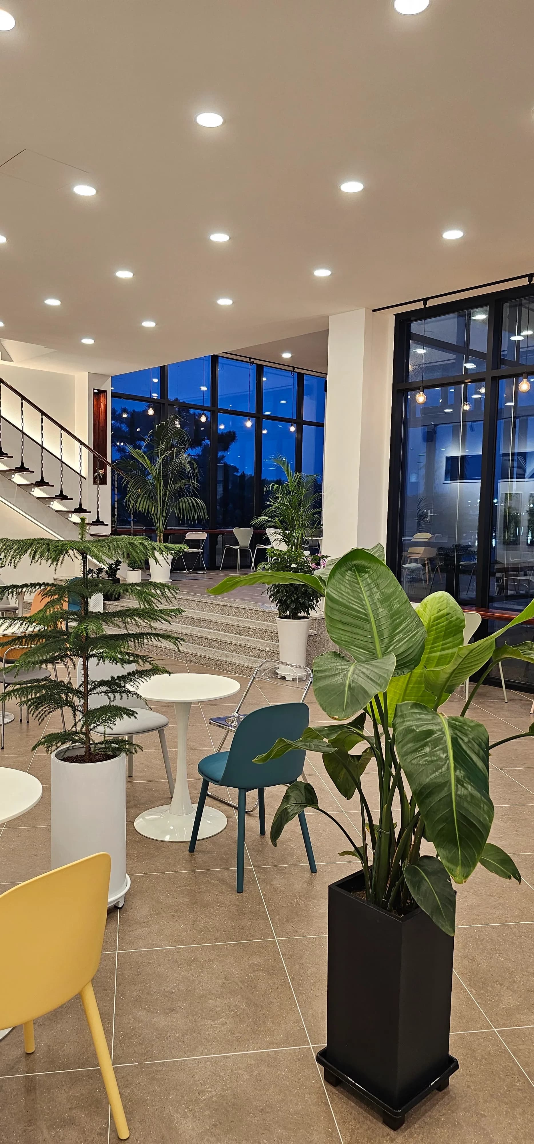 카페 반내 벽면 — 이끼 액자와 식물 인테리어