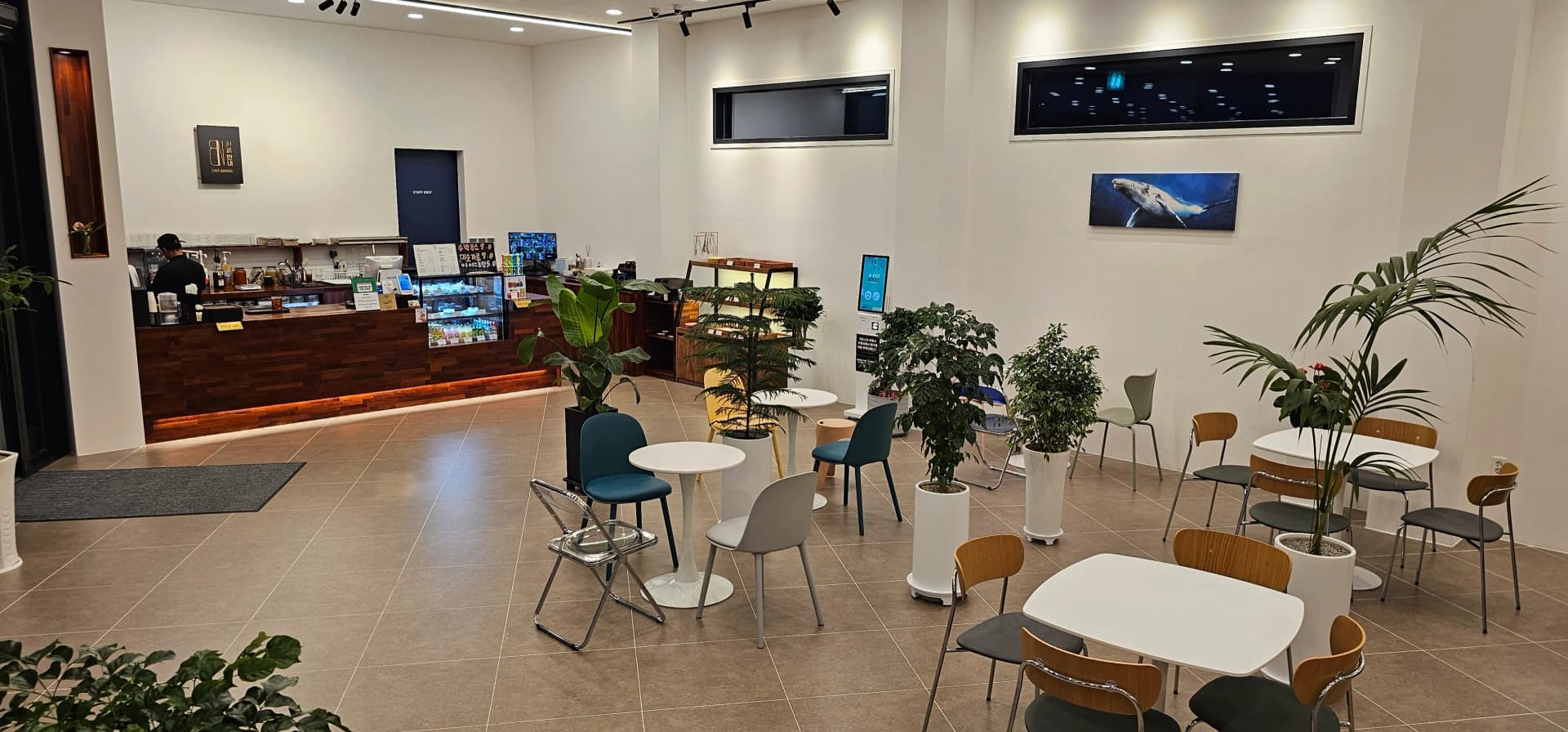 카페 반내 카운터 방향 전체 모습 — 고래 그림이 걸린 벽과 아담한 좌석 공간