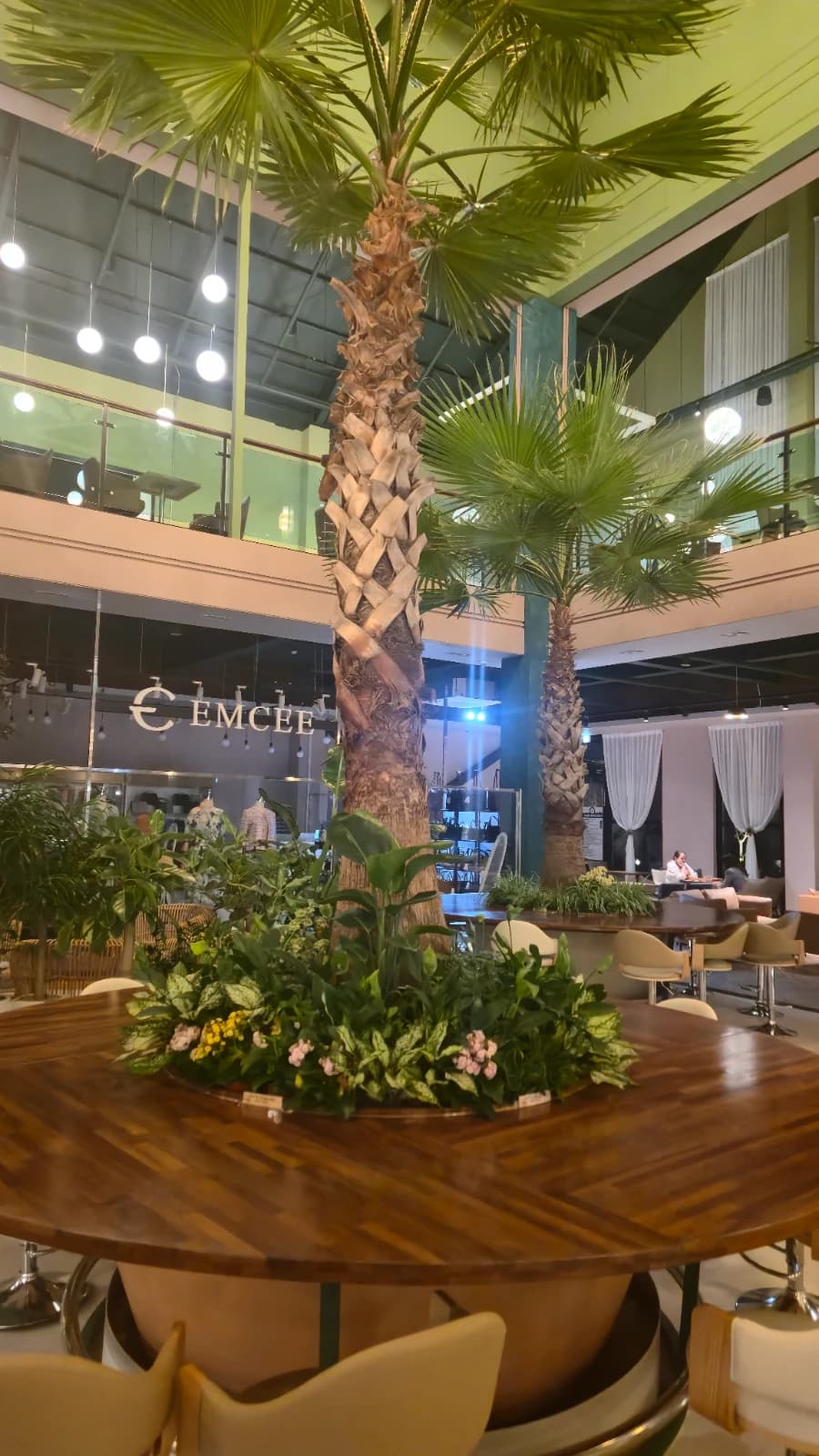 카페 캘리포니아 1층 야자수와 원형 테이블 정원 같은 좌석