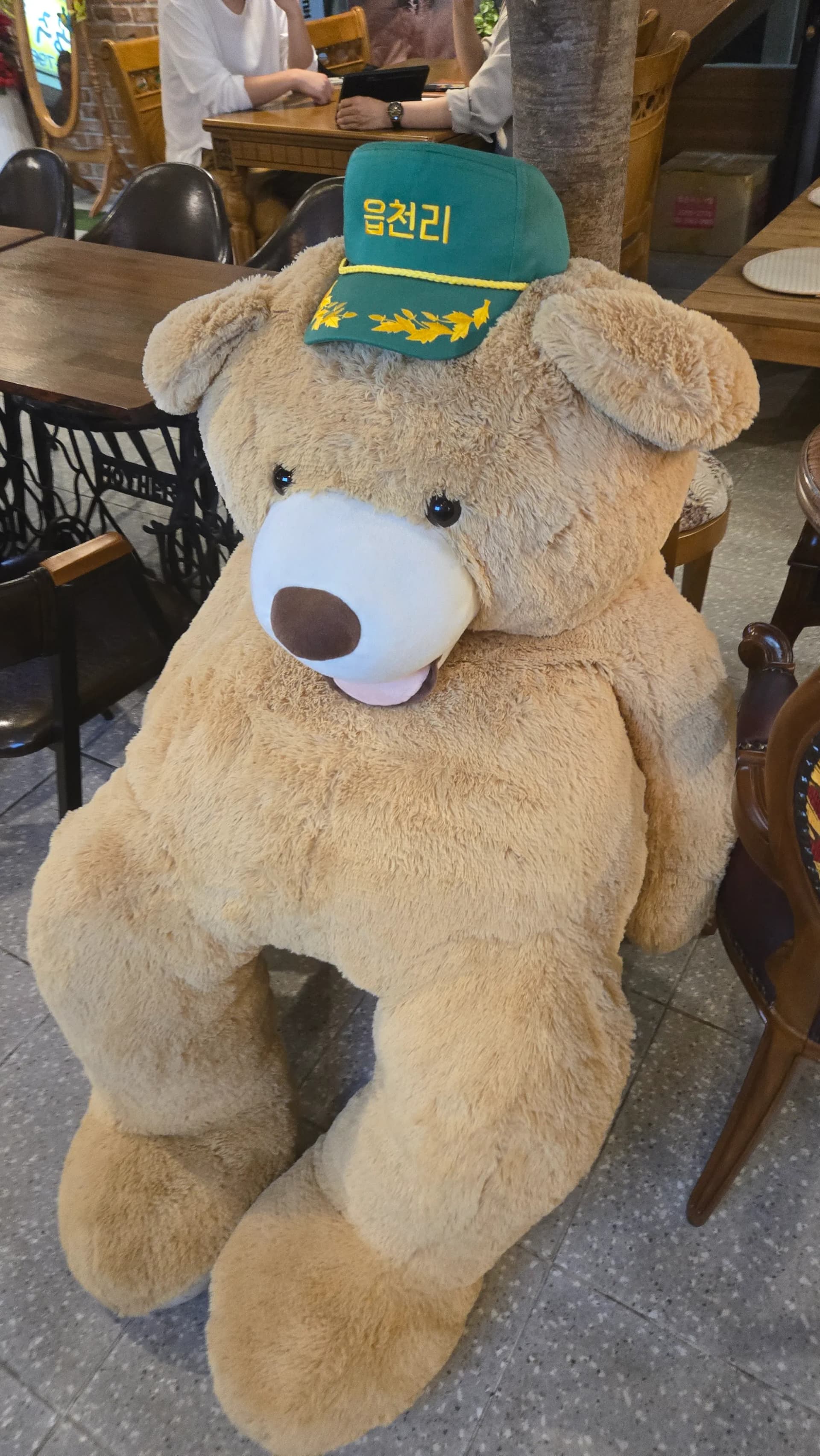 읍천리382 마스코트 대형 곰 인형 — 초록색 읍천리 모자를 쓴 곰과 함께 사진 찍기 좋은 포토존 | 하이제이에스비