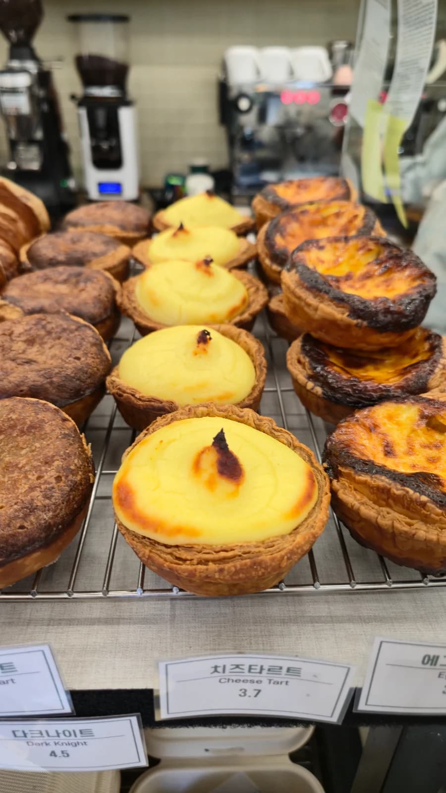 Green Bakery cheese tart about three dollars with smooth pale yellow top