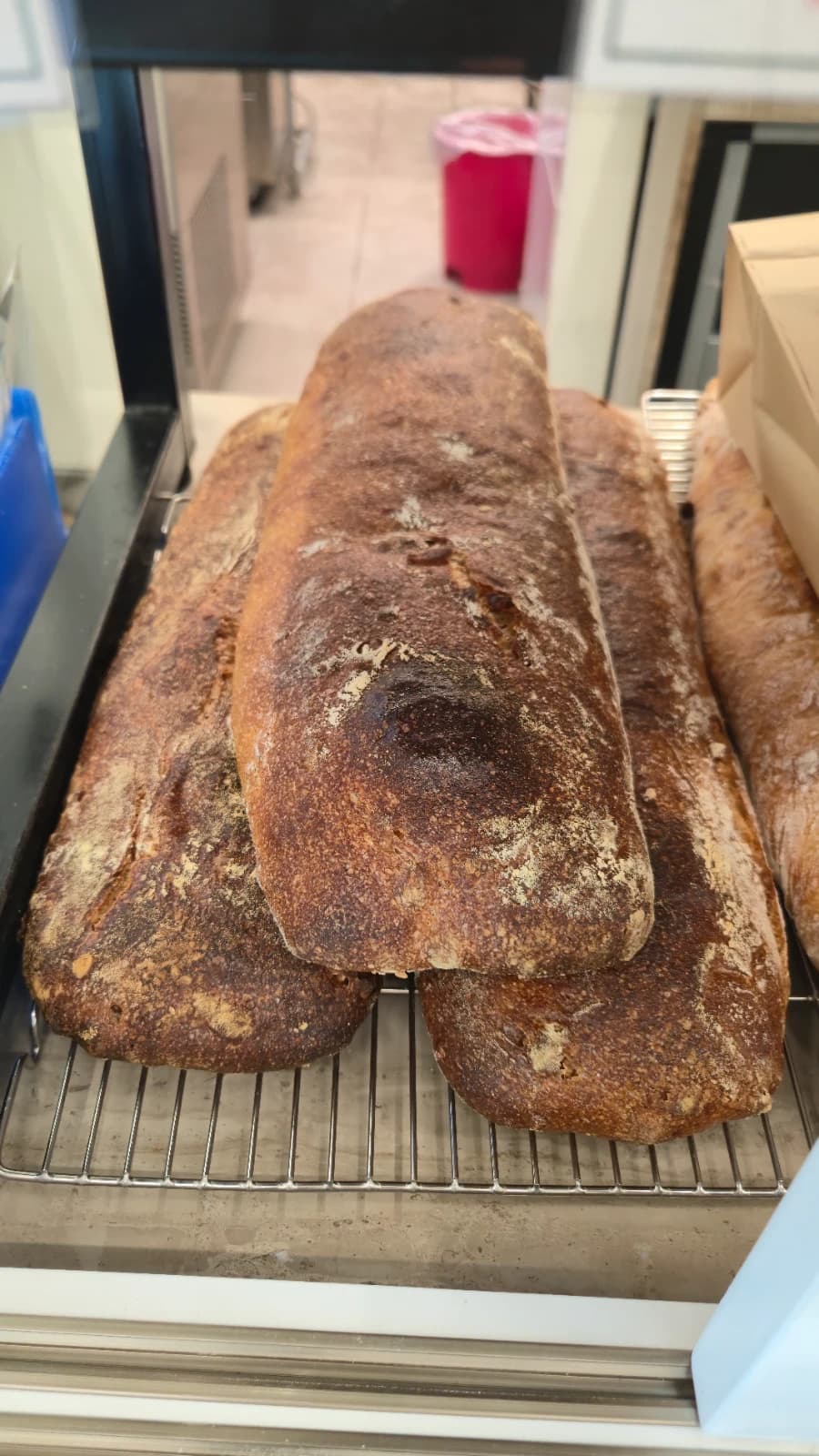 Green Bakery forearm-sized rustic hard bread loaf
