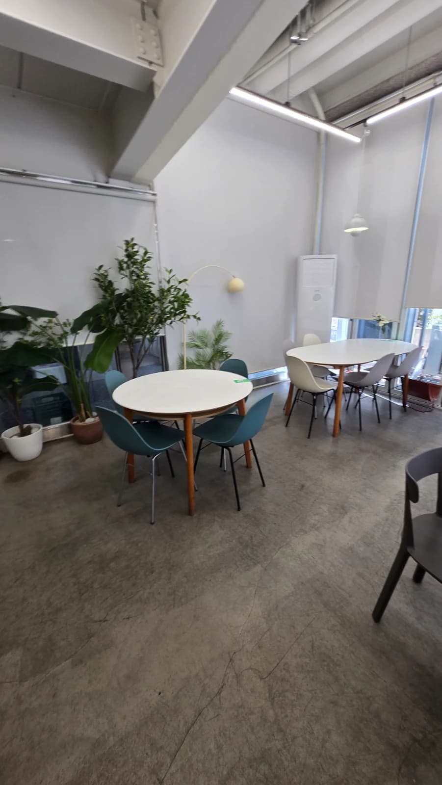 Green Bakery full interior view with exposed ceiling and clean decor
