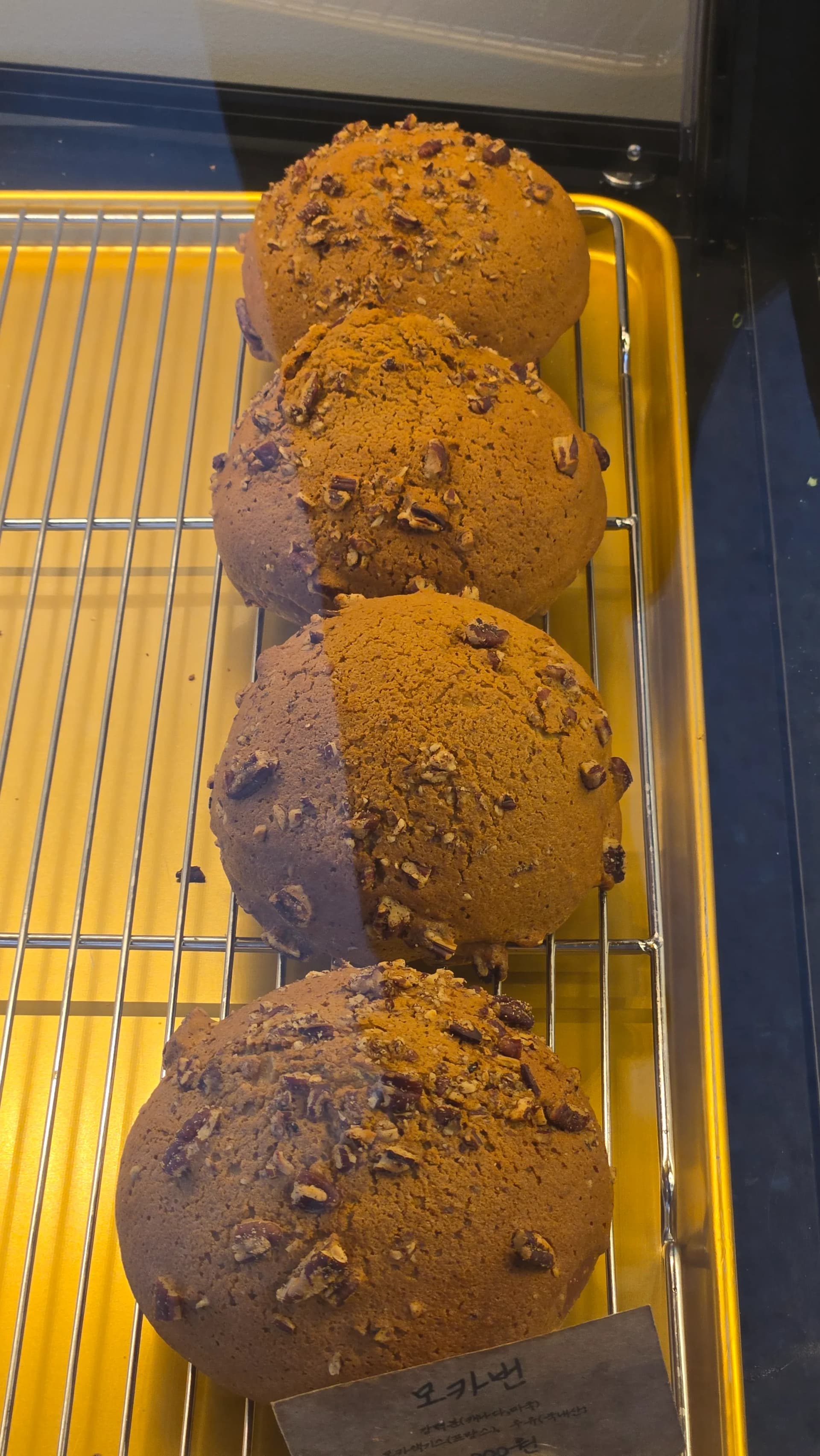 Colmar Bread булочка мокка — шоколадна булочка з горіхами пекан затишна кав'ярня | 하이제이에스비