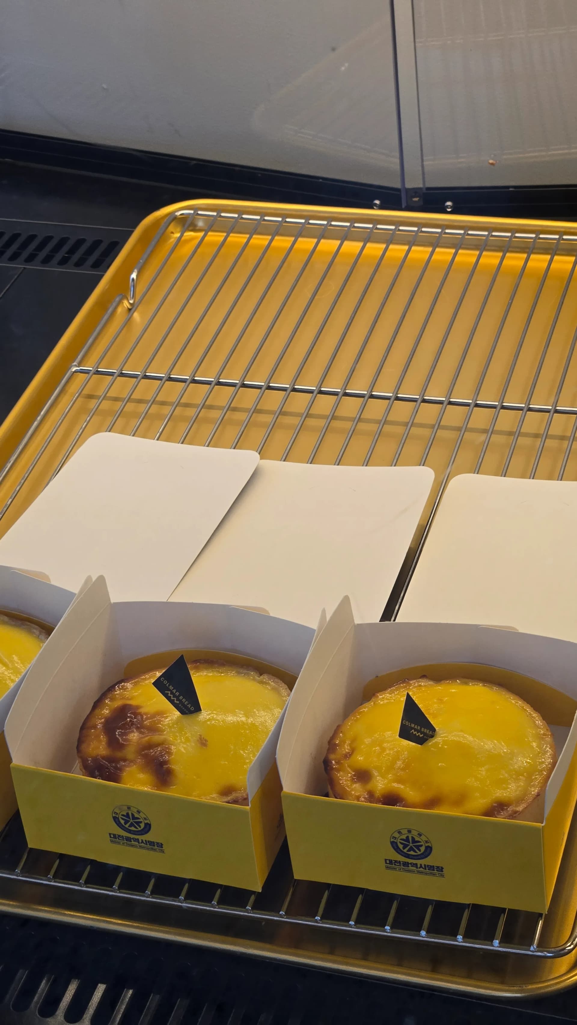Colmar Bread яєчний тарт — egg tart із заварним кремом пекарня кав'ярня Кореї | 하이제이에스비