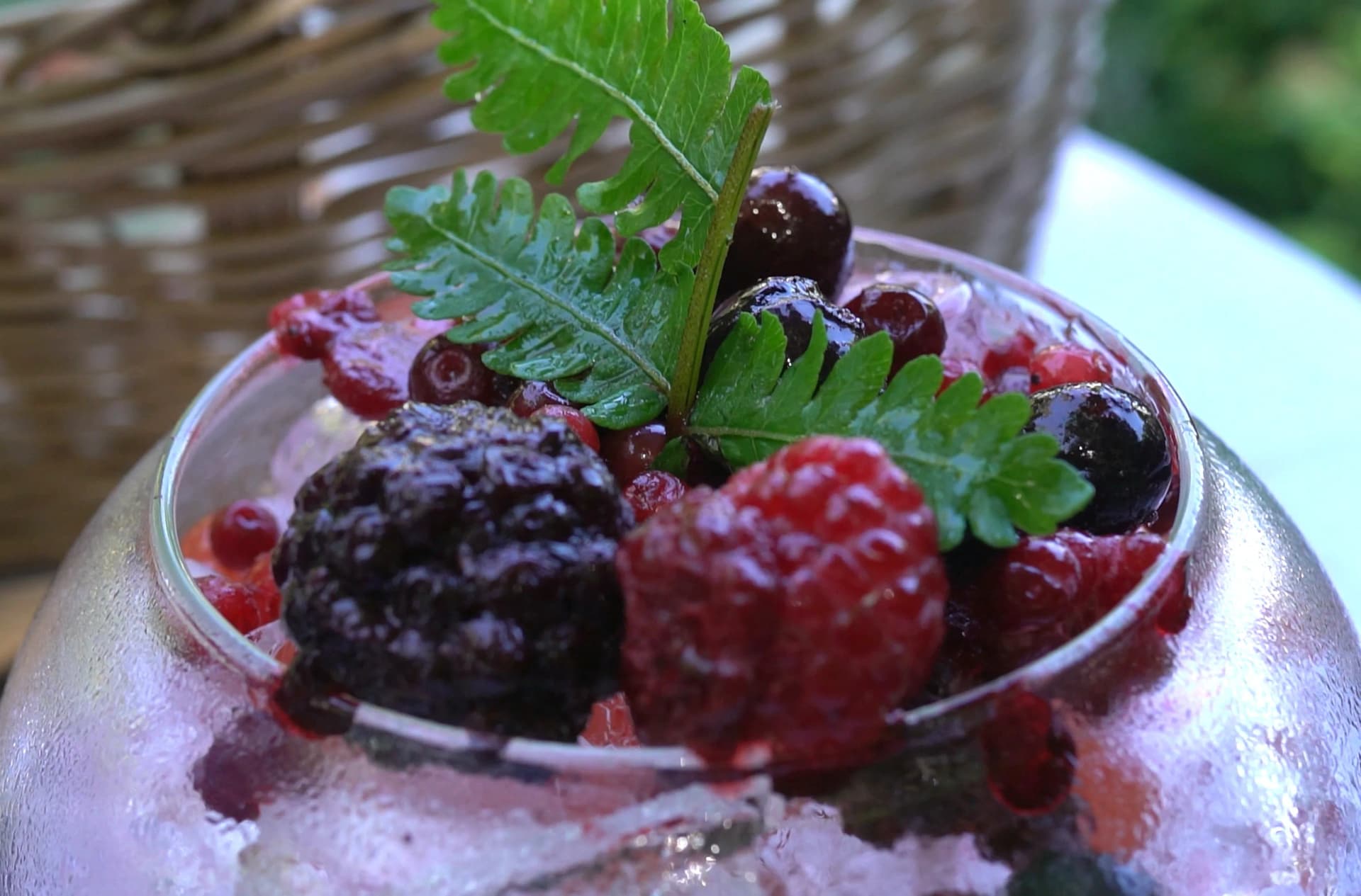 Sunlit raspberry turning translucent in natural afternoon light