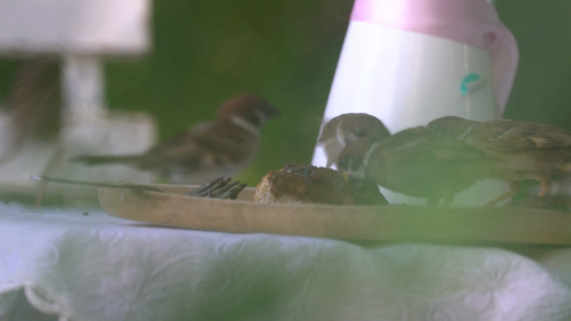 Outdoor garden sculpture and art installation at Pa Dee in the Wild