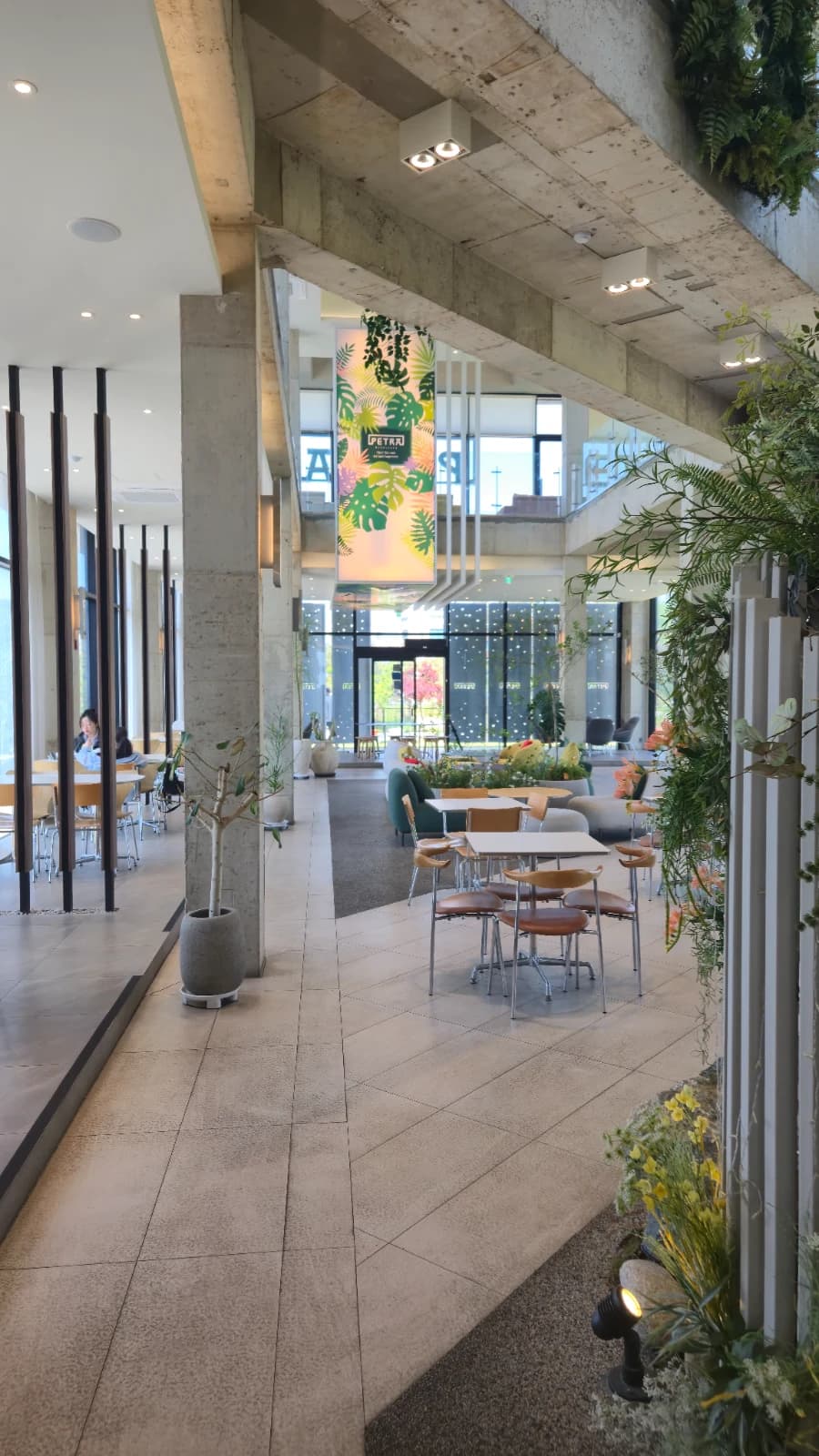 Sun-Drenched Mega Cafe — Petra by Day Feels Like a New Place - 13