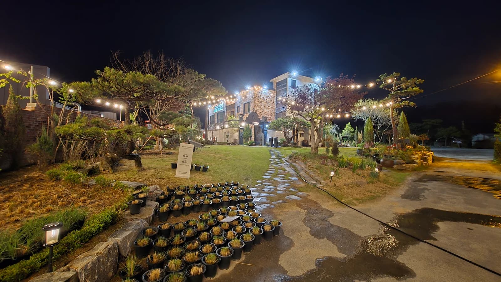 오뜨몽드 정원 전경 소나무와 잔디밭 사이로 전구 조명이 연결된 야간 모습