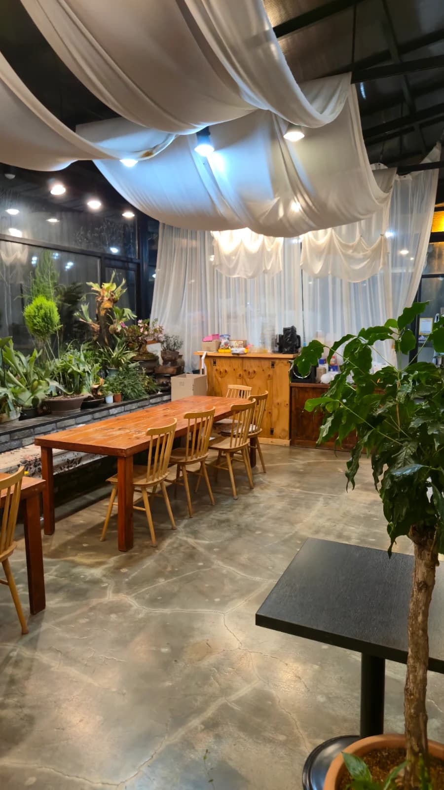 오뜨몽드 온실 공간 천장 흰 천과 화분 긴 원목 테이블