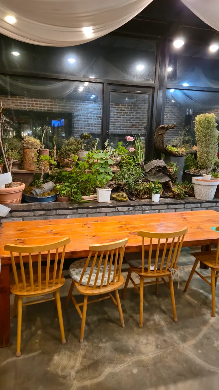 오뜨몽드 통유리창 좌석 분재 화분과 다양한 의자 스타일