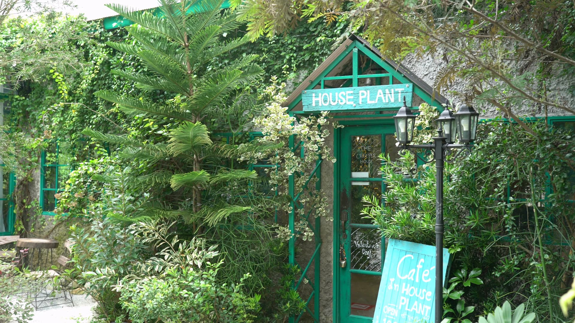 The Creeper House entrance with green triangular HOUSE PLANT roof and climbing vines covering the entire facade of the hidden garden cafe
