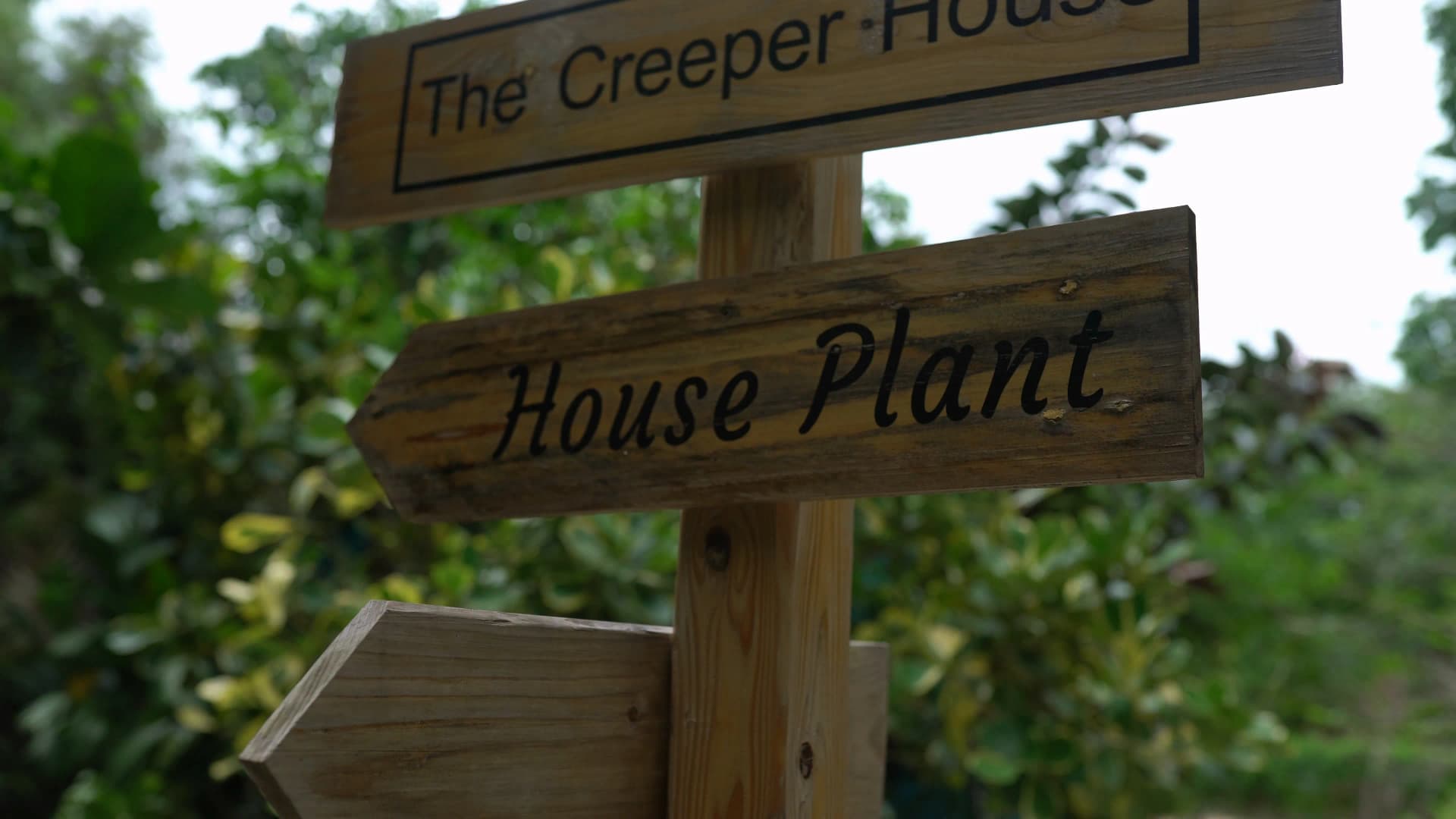Wooden signpost pointing in different directions for The Creeper House and House Plant sections