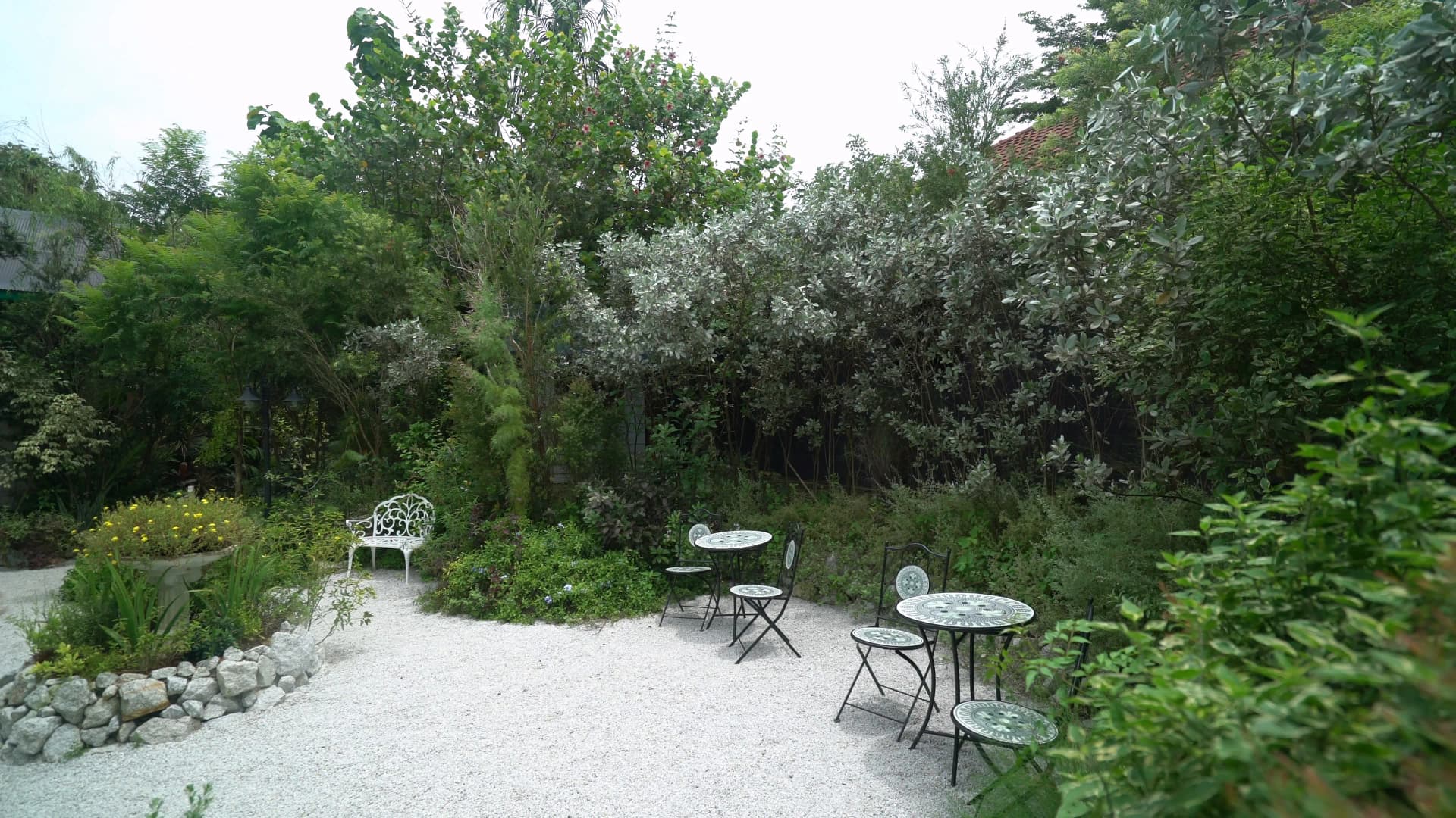 White gravel outdoor garden at The Creeper House with wrought iron tables and a white bench under tree shade at a tropical cafe