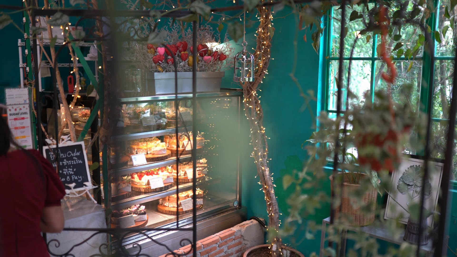 The Creeper House bakery showcase with teal walls, string light bulbs, and trailing vines inside the cafe interior