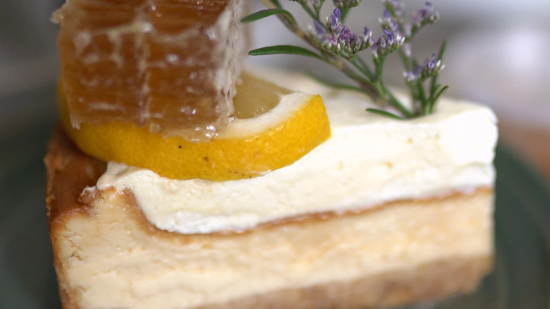 Cake and drinks on an outdoor table at The Creeper House surrounded by lush tropical plants