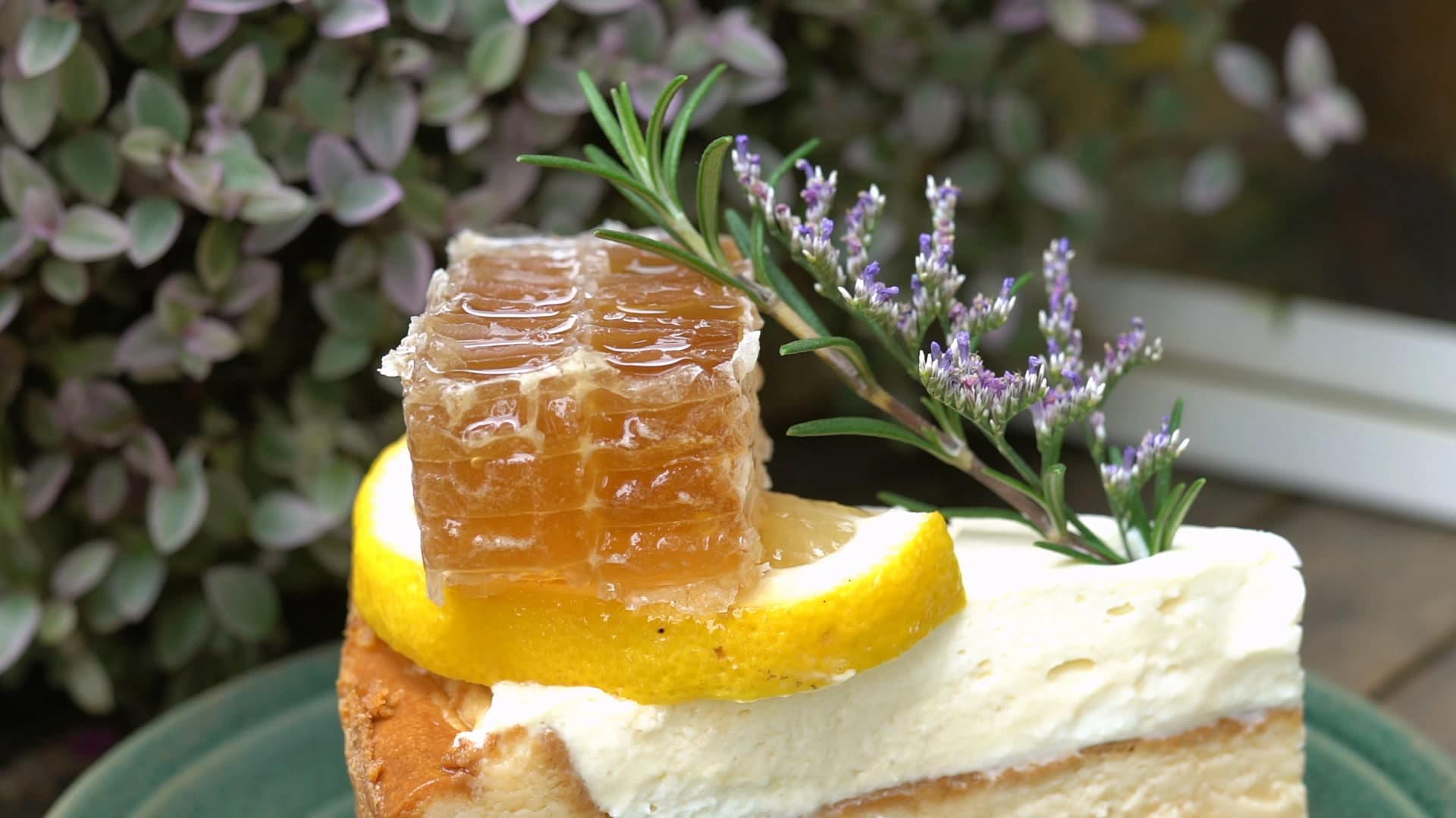 Cross-section of The Creeper House honeycomb cake showing cream cheese layer and honeycomb topping up close