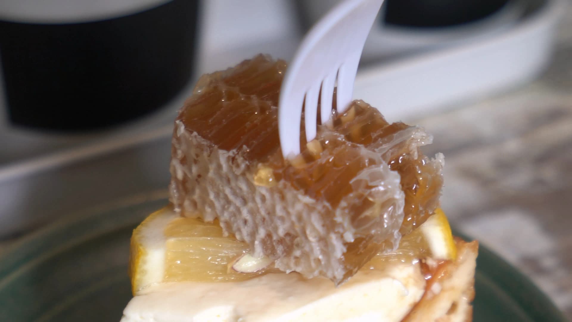 Garden view from the outdoor table while eating cake at The Creeper House cafe