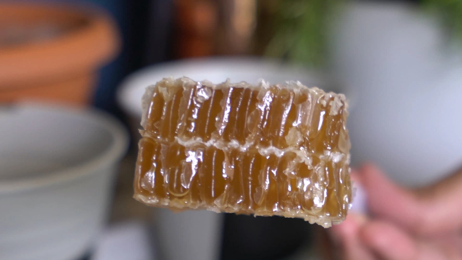 Close-up of real honeycomb on top of the cake with honey dripping between the wax cells