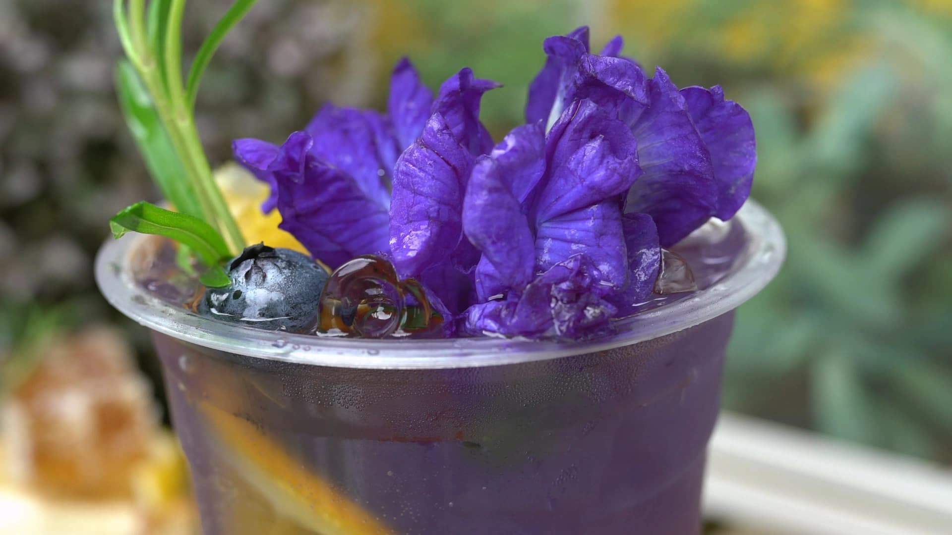 The Creeper House butterfly pea flower anchan drink with purple petals and blueberry topping