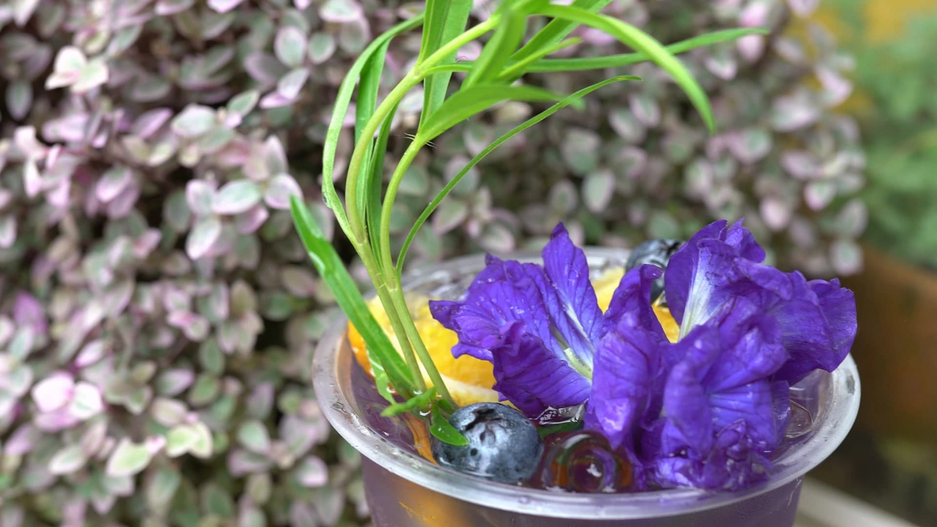 Detail of the anchan drink topped with purple petals, pandan leaf, and an orange slice