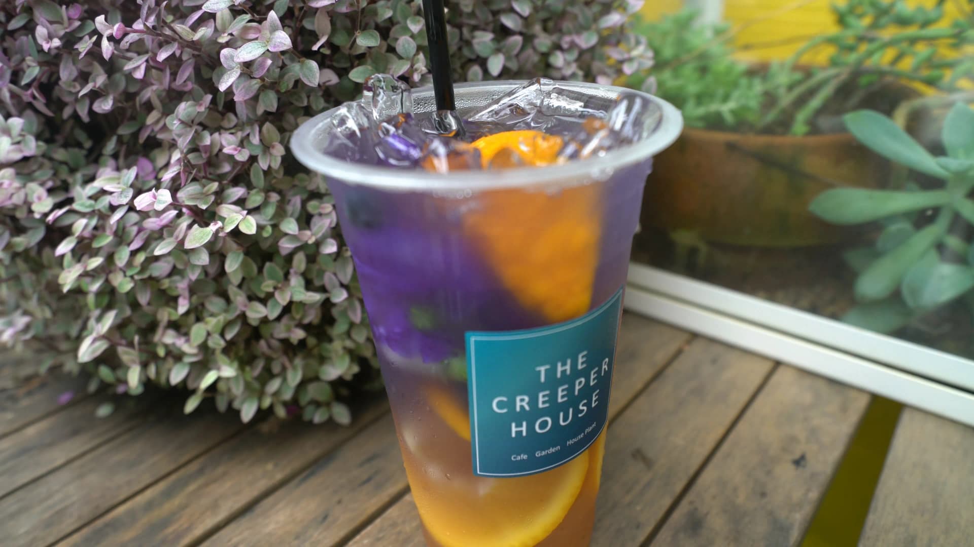 Full view of the anchan drink showing purple, orange, and yellow gradient layers with THE CREEPER HOUSE sticker on the cup