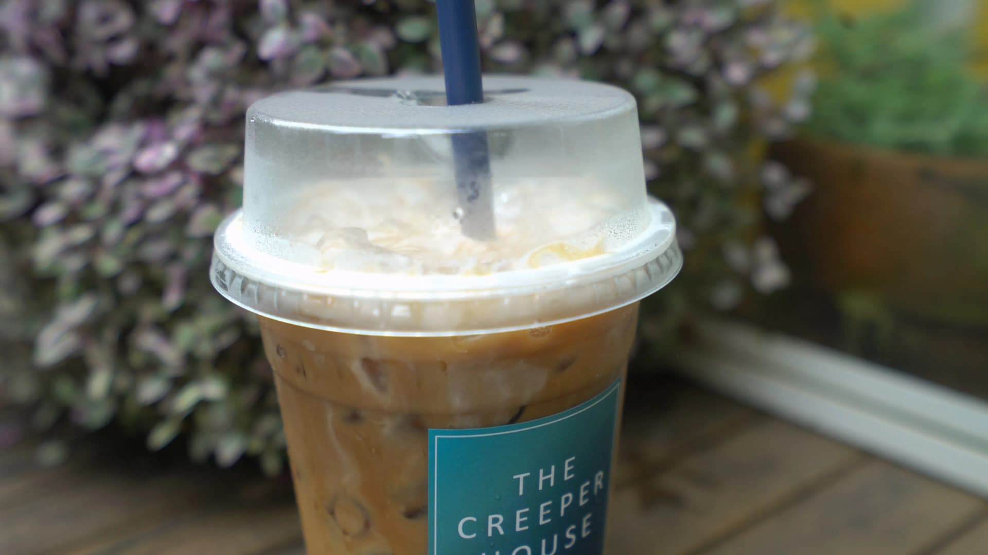 The Creeper House caramel macchiato viewed from above through the lid showing rich brown gradient