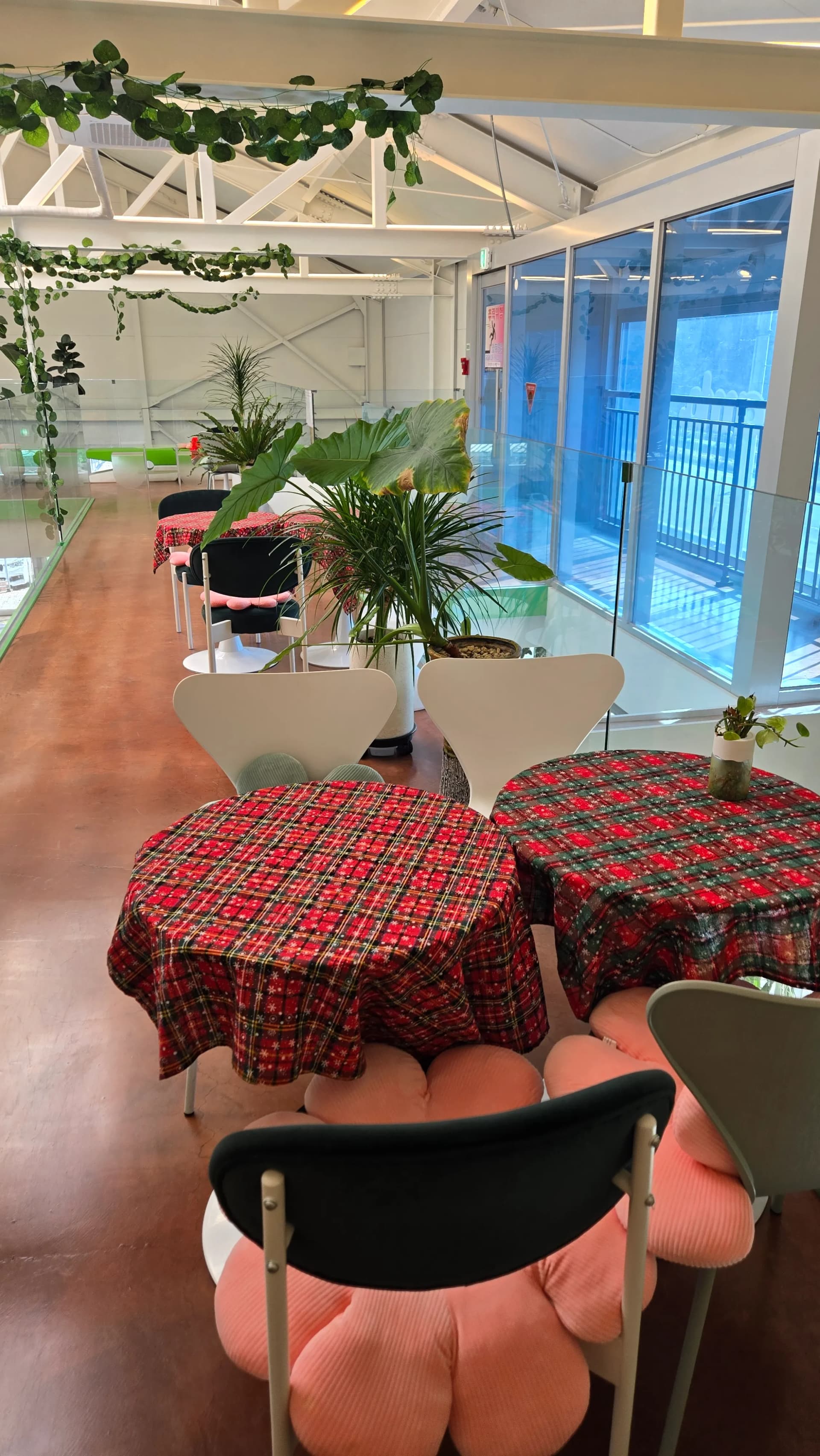 커먼비 아늑한 좌석과 아기자기한 소품이 어우러진 내부 공간 | 하이제이에스비