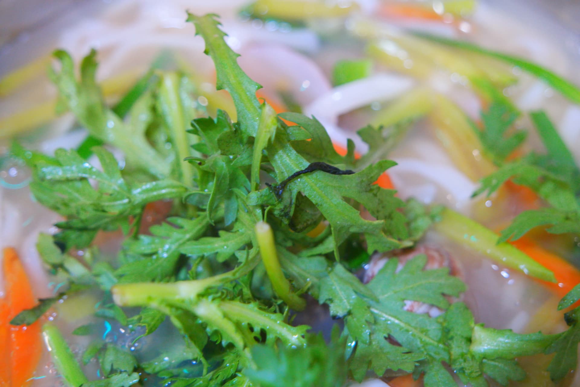 Калгүксү ойроос - тунгалаг шөлний дээр ссүггат хөвж, доор нь бүдүүн гоймон, ногоо харагдаж буй байдал