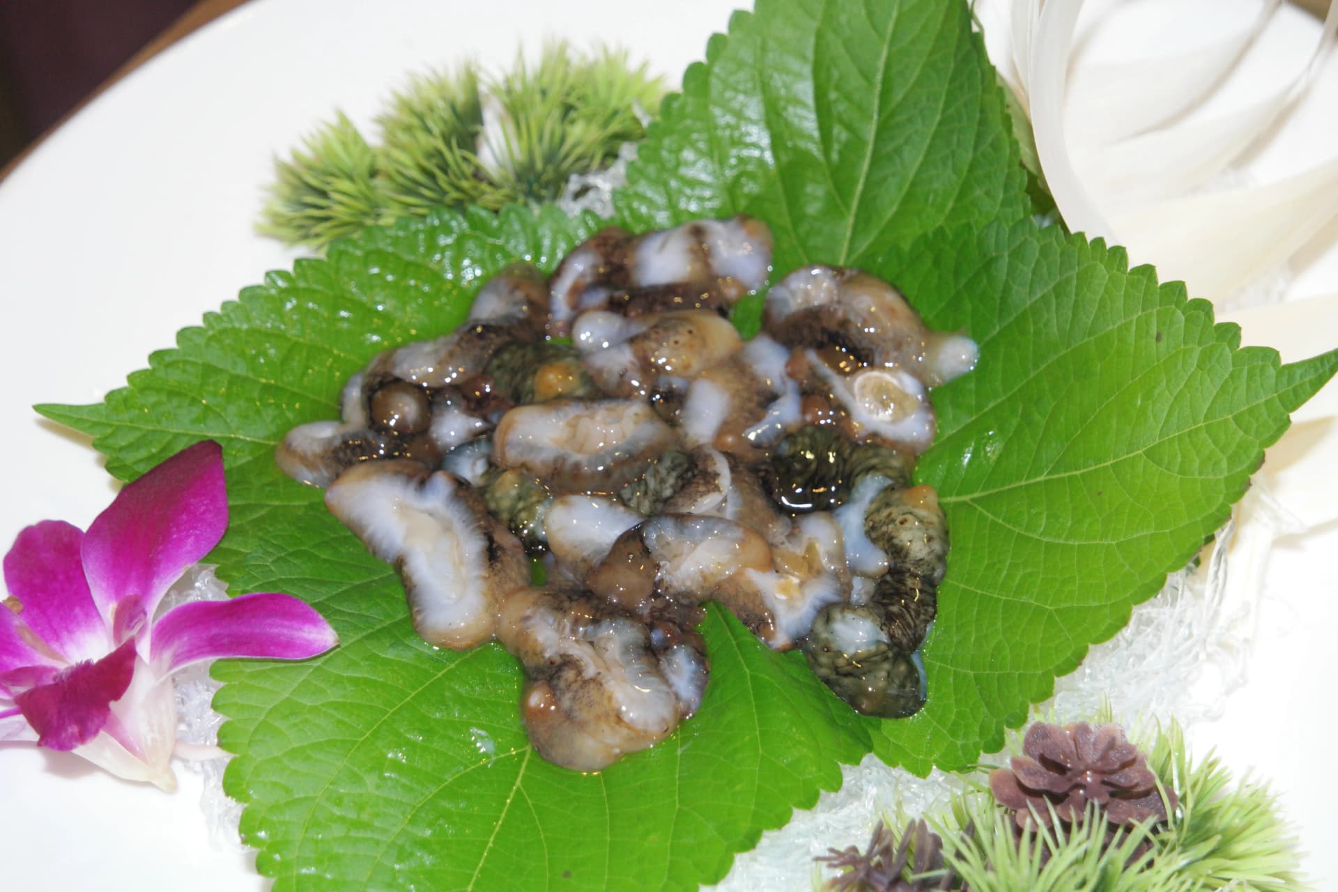 Jeonbok-hoe, abalone safi nzima iliyopangwa vizuri, toka Wando | 하이제이에스비