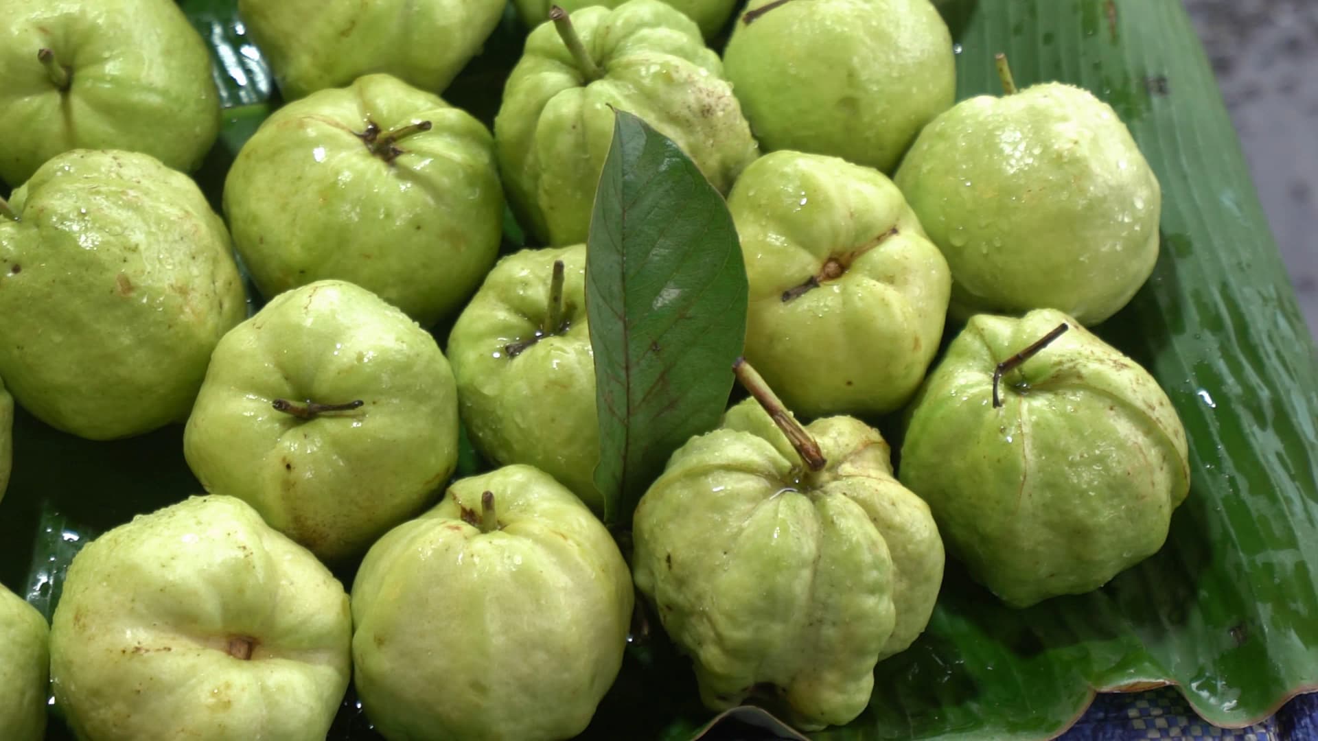 태국 시장 구아바 – 바나나잎 위에 연두색 구아바가 가득 쌓인 모습