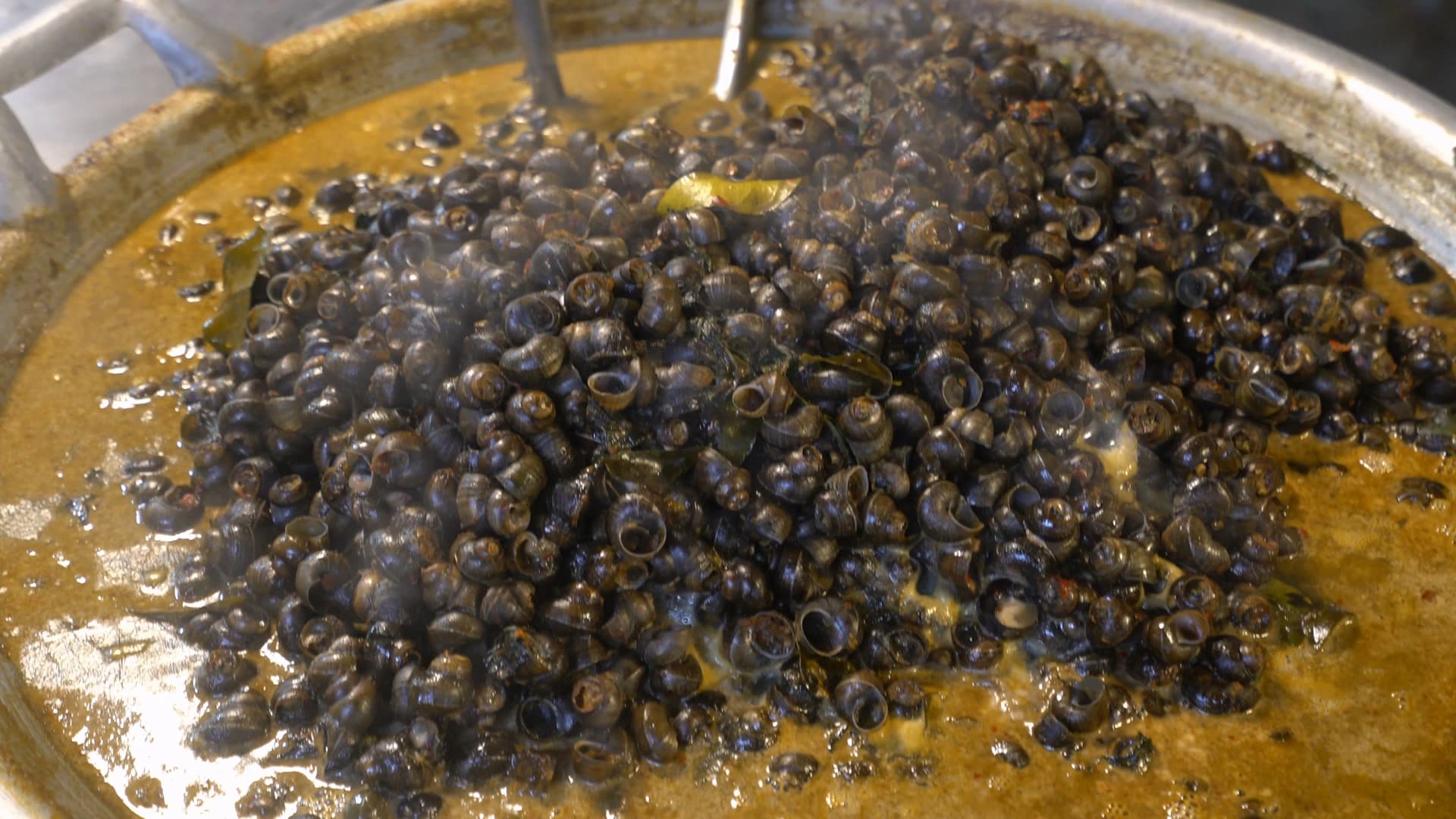 태국 시장 고둥 요리 – 큰 솥에 진한 양념 국물과 함께 끓고 있는 작은 고둥