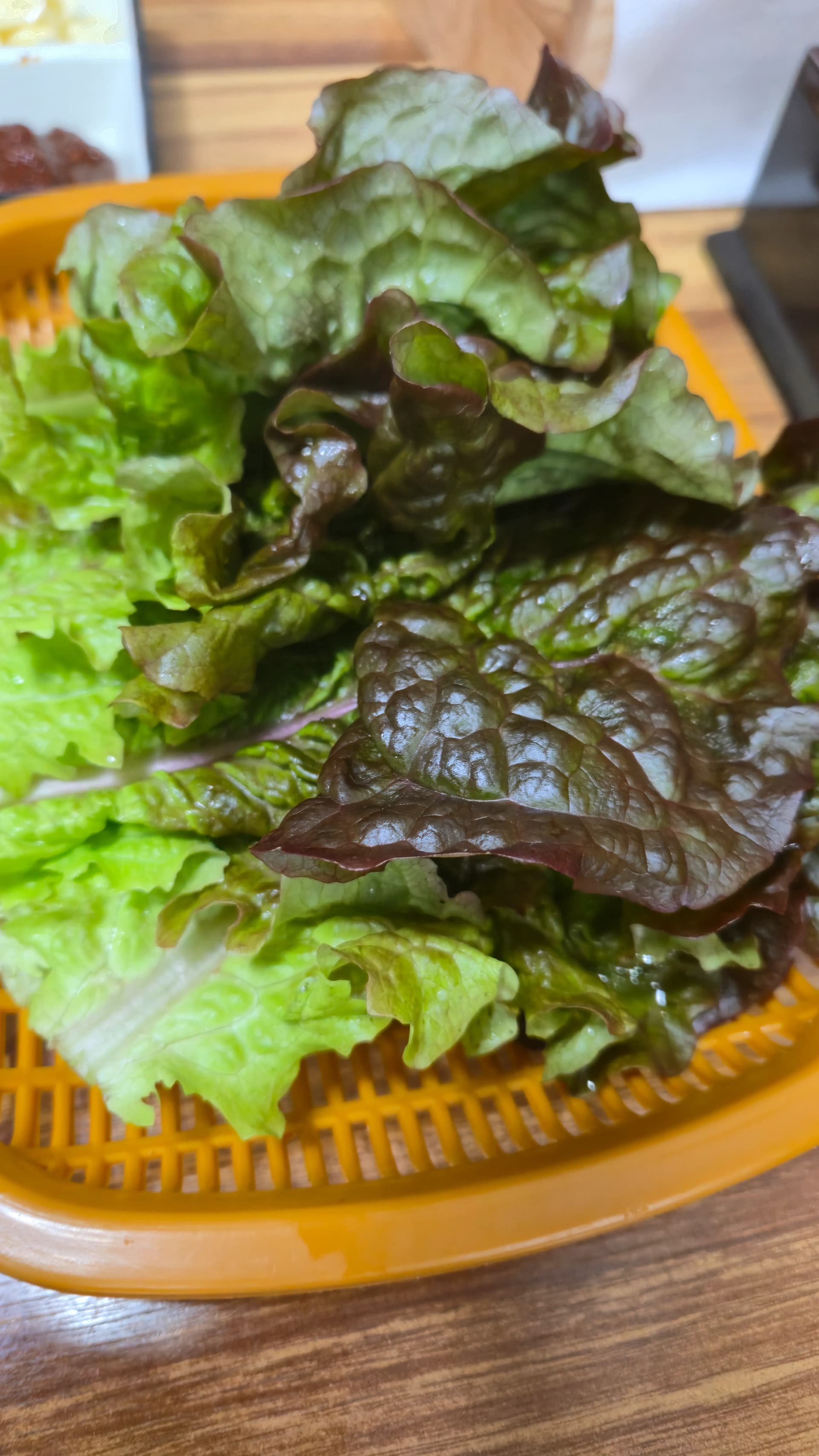 쌈채소 바구니 - 청상추와 적상추가 섞여 있는 제육볶음과 함께 먹는 쌈용 채소 | 하이제이에스비