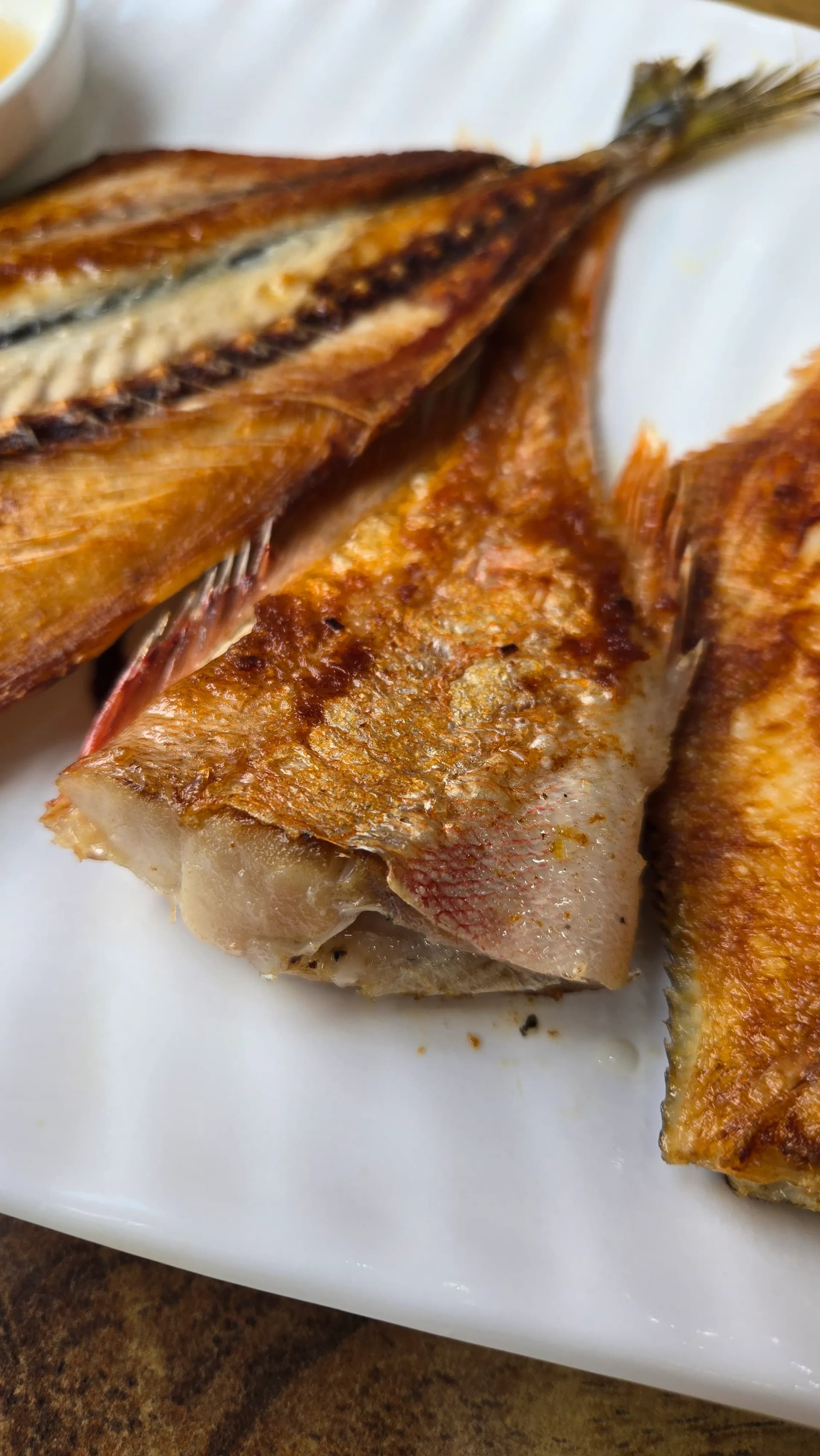 구운 열기(불볼락, goldeye rockfish), 빨간 껍질이 바삭하게 구워진 모습 | 하이제이에스비