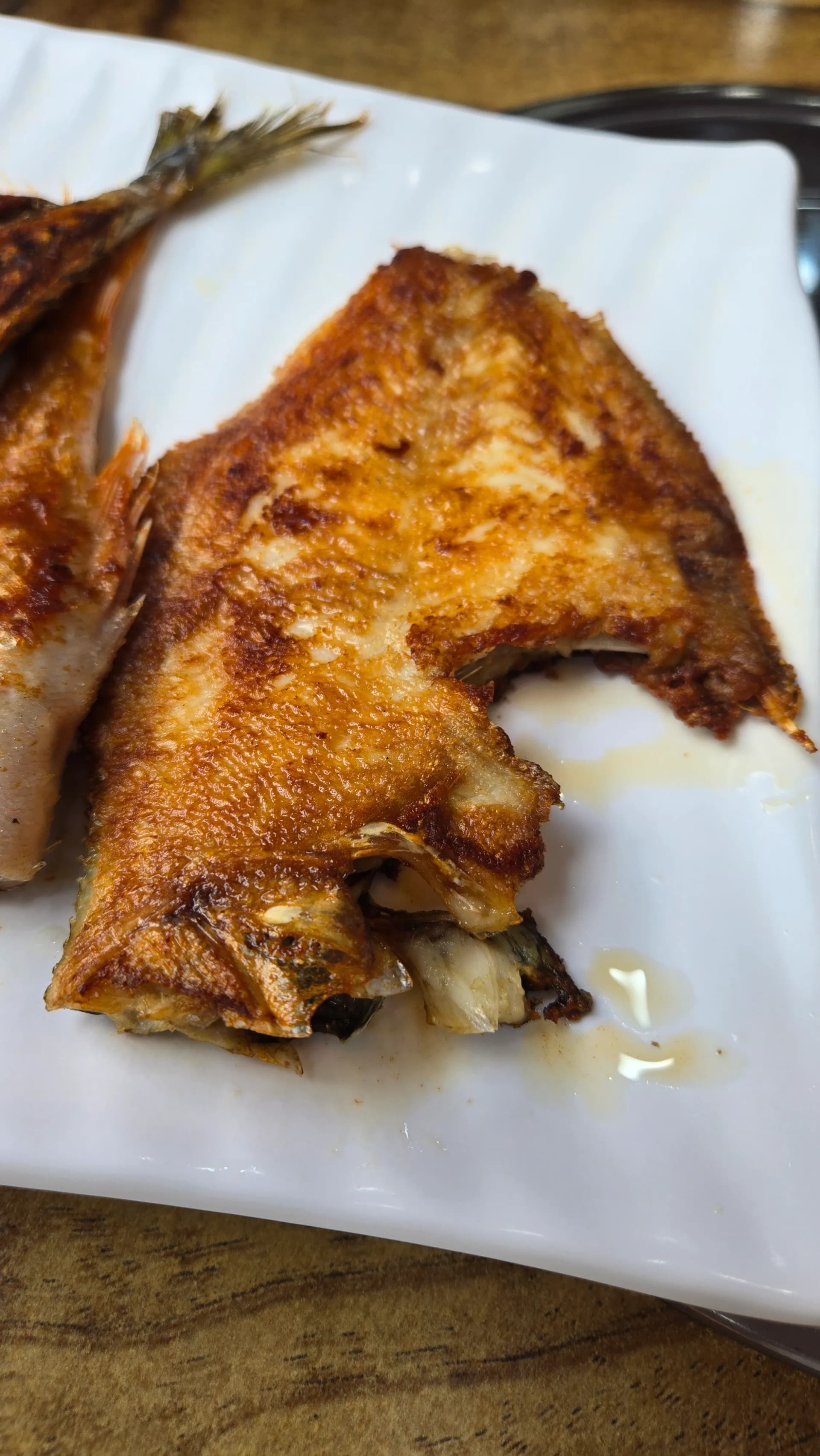 구운 가자미(flatfish), 납작한 몸체를 반으로 펴서 노릇하게 구운 모습 | 하이제이에스비