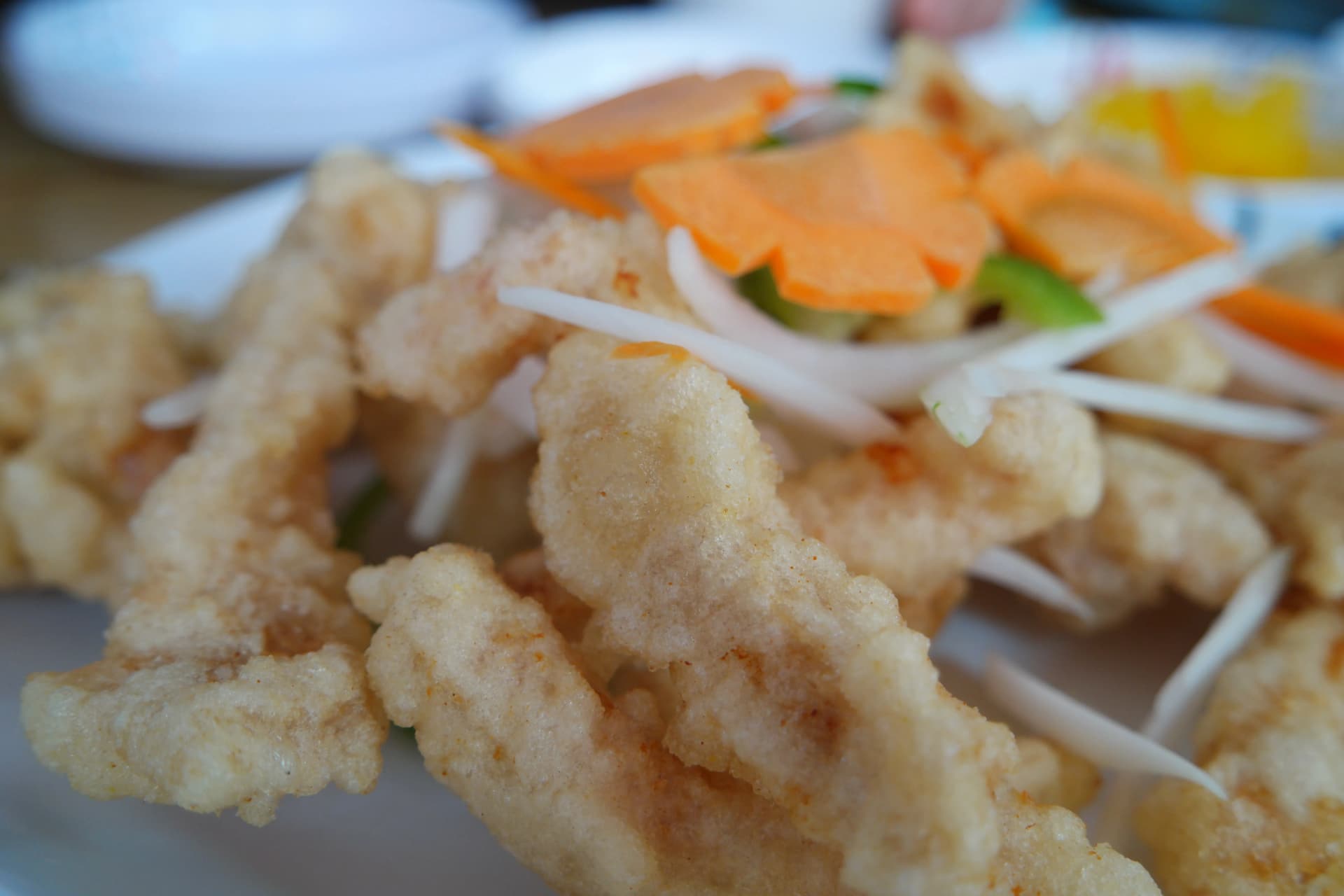 탕수육 튀김옷 클로즈업, 표면이 울퉁불퉁하게 튀겨져 소스가 잘 달라붙는 질감이 보이는 모습 | 하이제이에스비