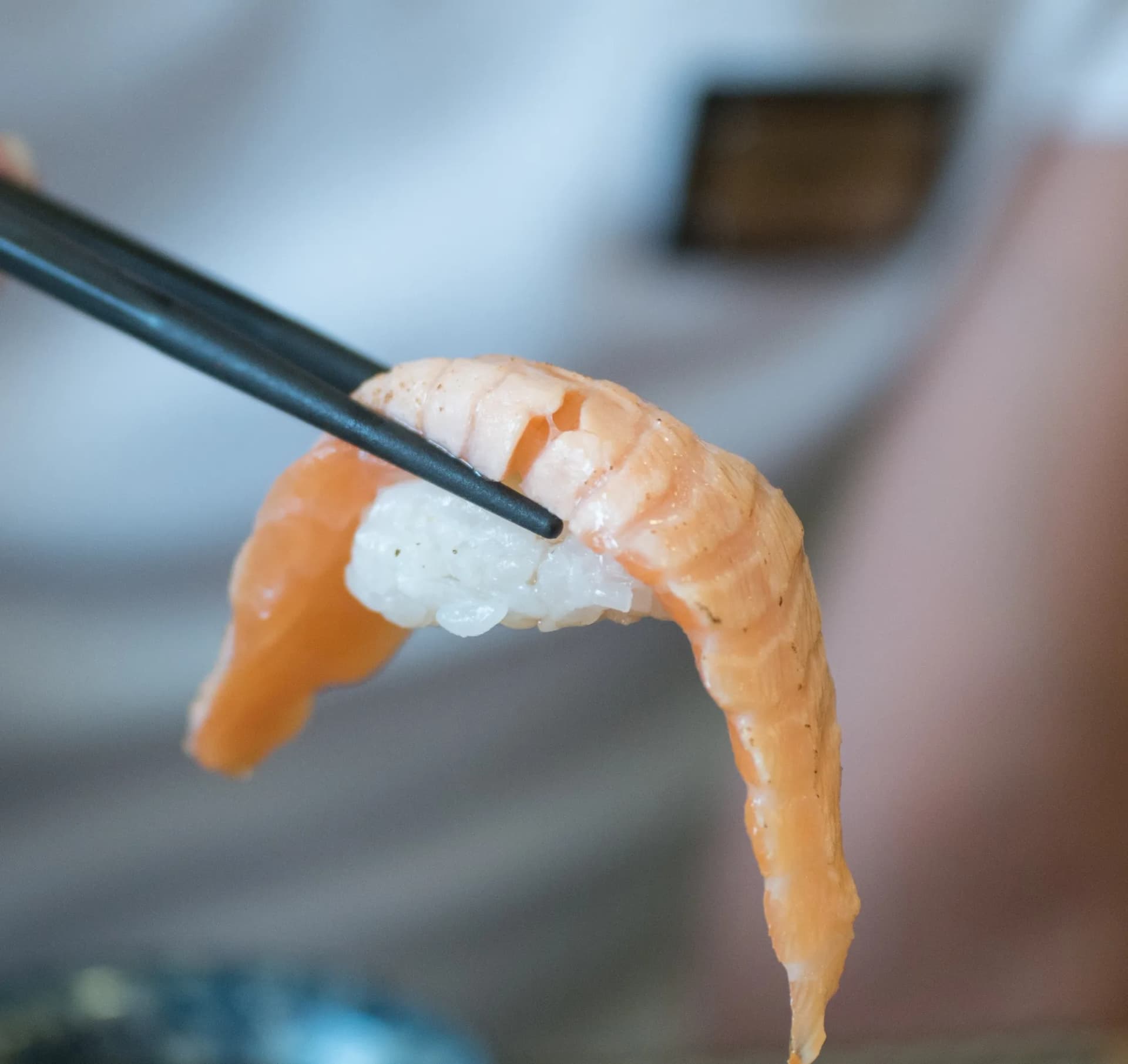 젓가락으로 집어올린 아부리 연어 초밥 클로즈업 - 토치로 겉을 살짝 그을린 연어가 양쪽으로 늘어진 모습 | 하이제이에스비