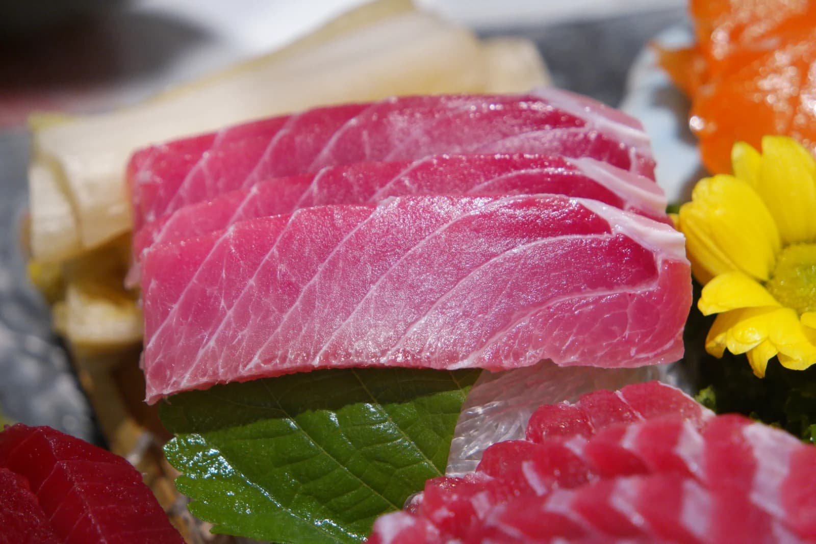 Close-up of medium-fatty tuna belly sashimi showing fine white marbling through the pink flesh