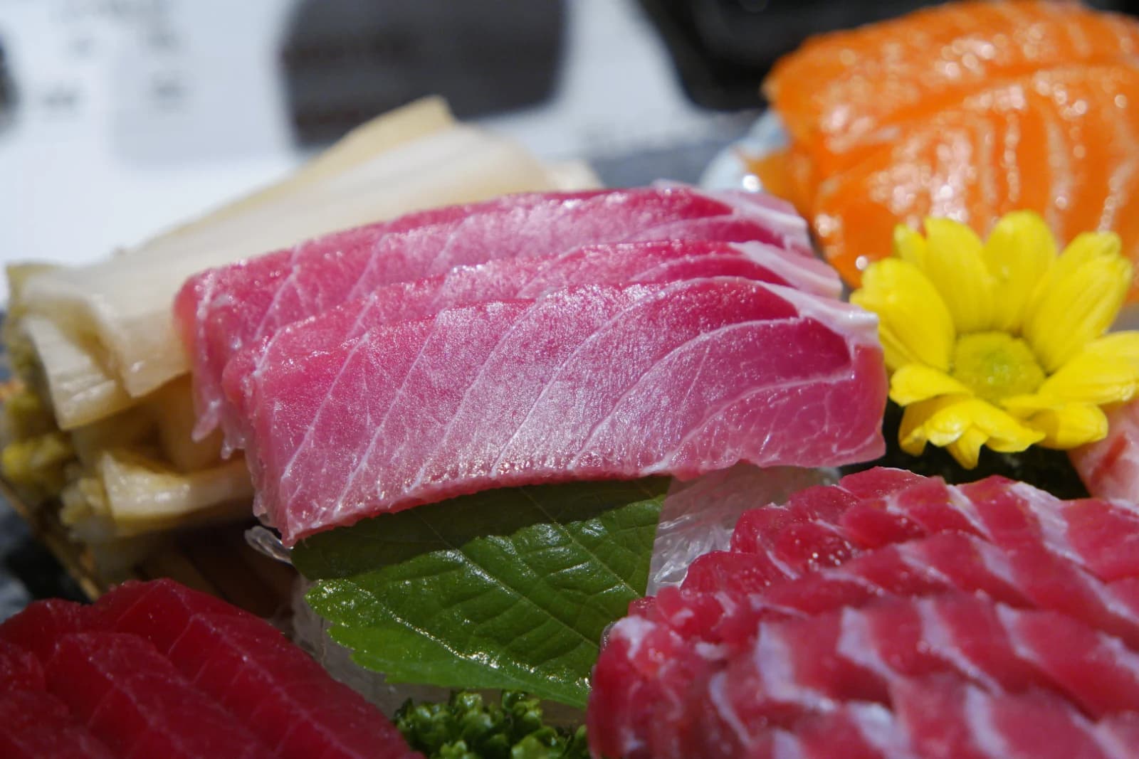 Medium-fatty tuna belly and salmon sashimi side by side, pink against orange color contrast