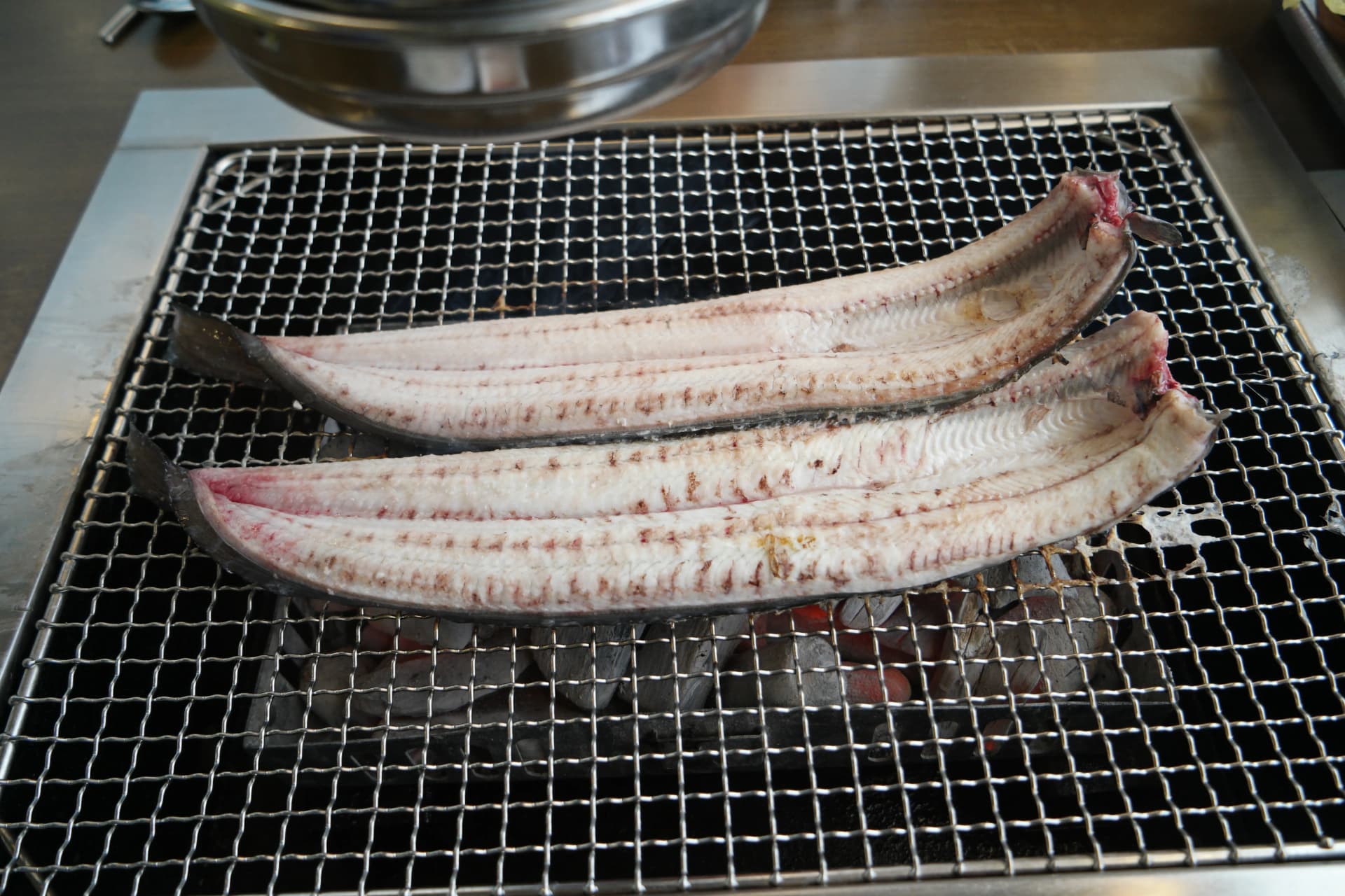 숯불 석쇠 위에 막 올라간 손질된 민물장어 - 살이 하얗고 촉촉한 상태 | 하이제이에스비