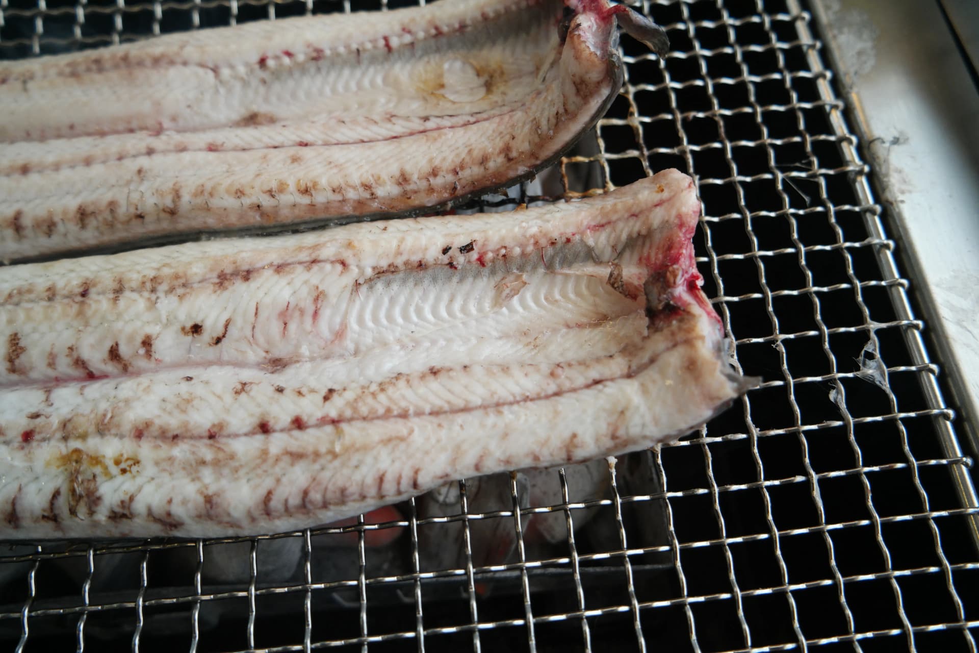 익기 전 민물장어 살 클로즈업 - 두툼하고 탄력있는 살결이 선명하게 보인다 | 하이제이에스비