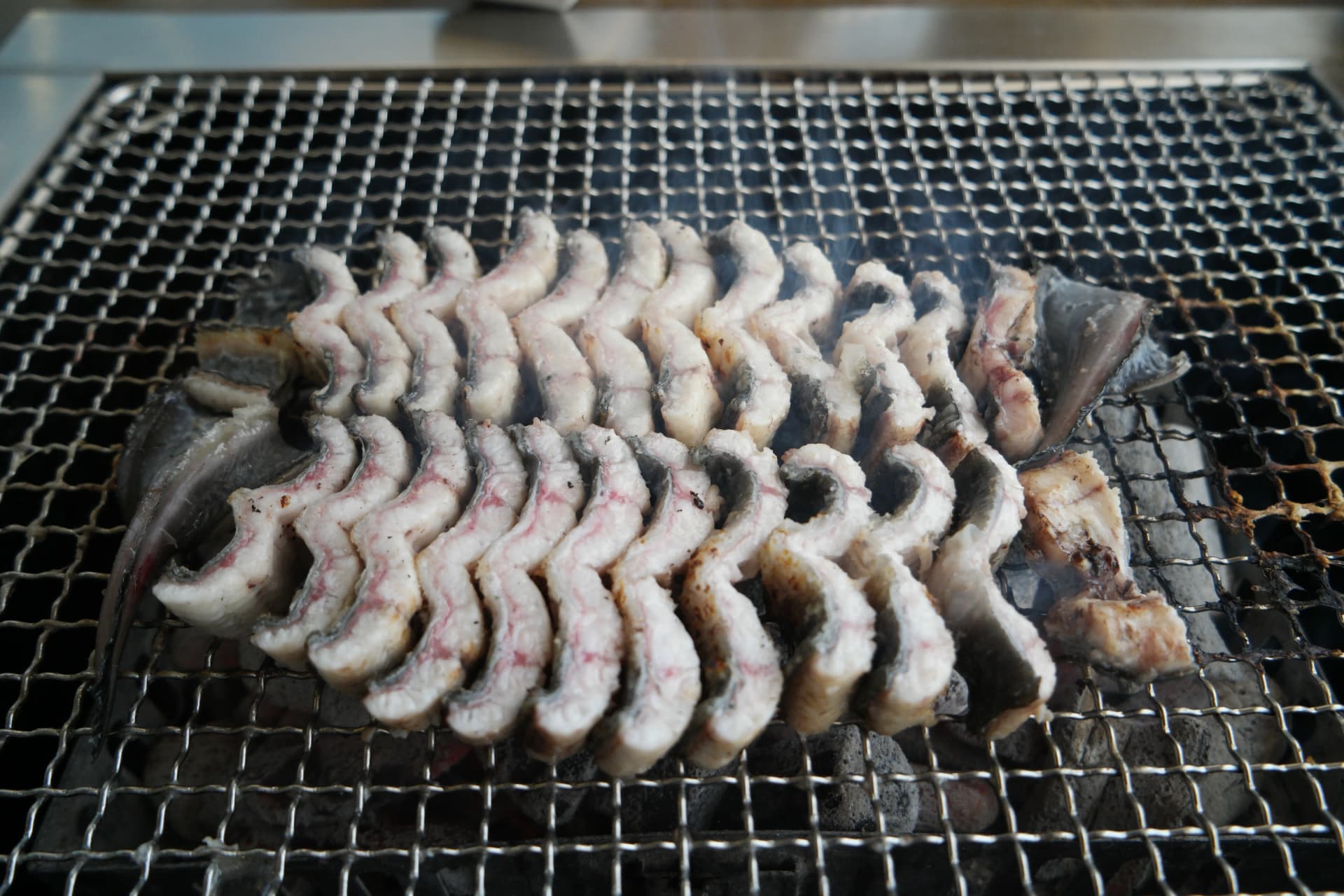 숯불 위에서 물결 모양으로 구불구불하게 익어가는 민물장어 - 아직 하얀 살색 | 하이제이에스비