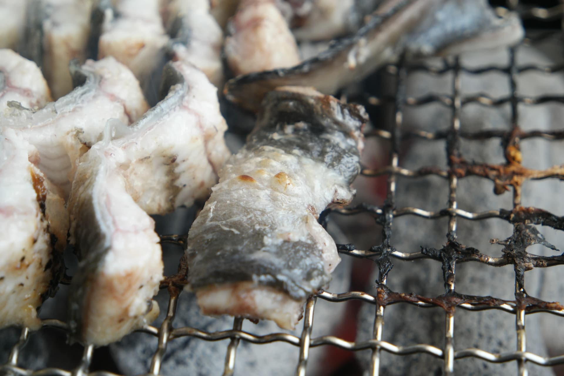 숯불 열기에 겉면이 서서히 익어가는 민물장어 퀄리티 클로즈업 샷 | 하이제이에스비