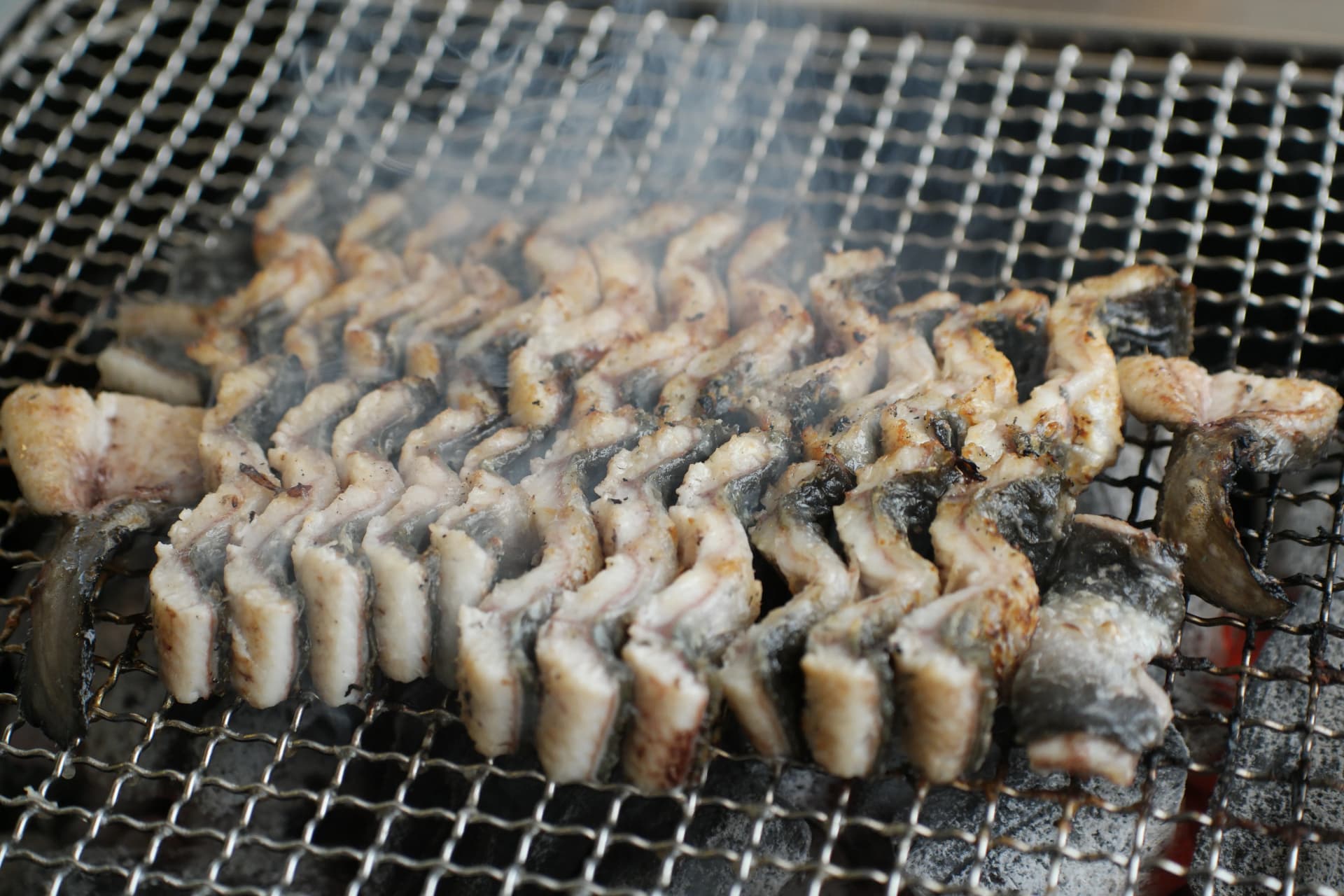 노릇노릇하게 완전히 익은 민물장어 숯불구이 - 기름이 배어나오며 윤기가 흐른다 | 하이제이에스비