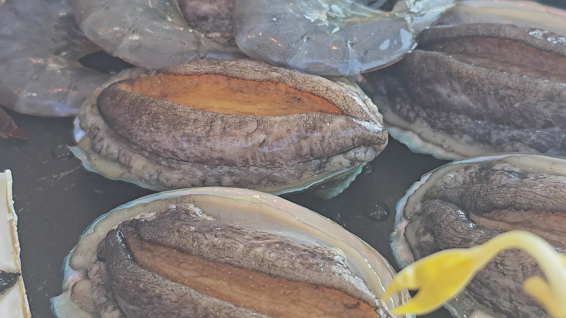 불판 위에서 열을 받아 껍데기 안에서 몸을 뒤트는 살아있는 전복 클로즈업 | 하이제이에스비