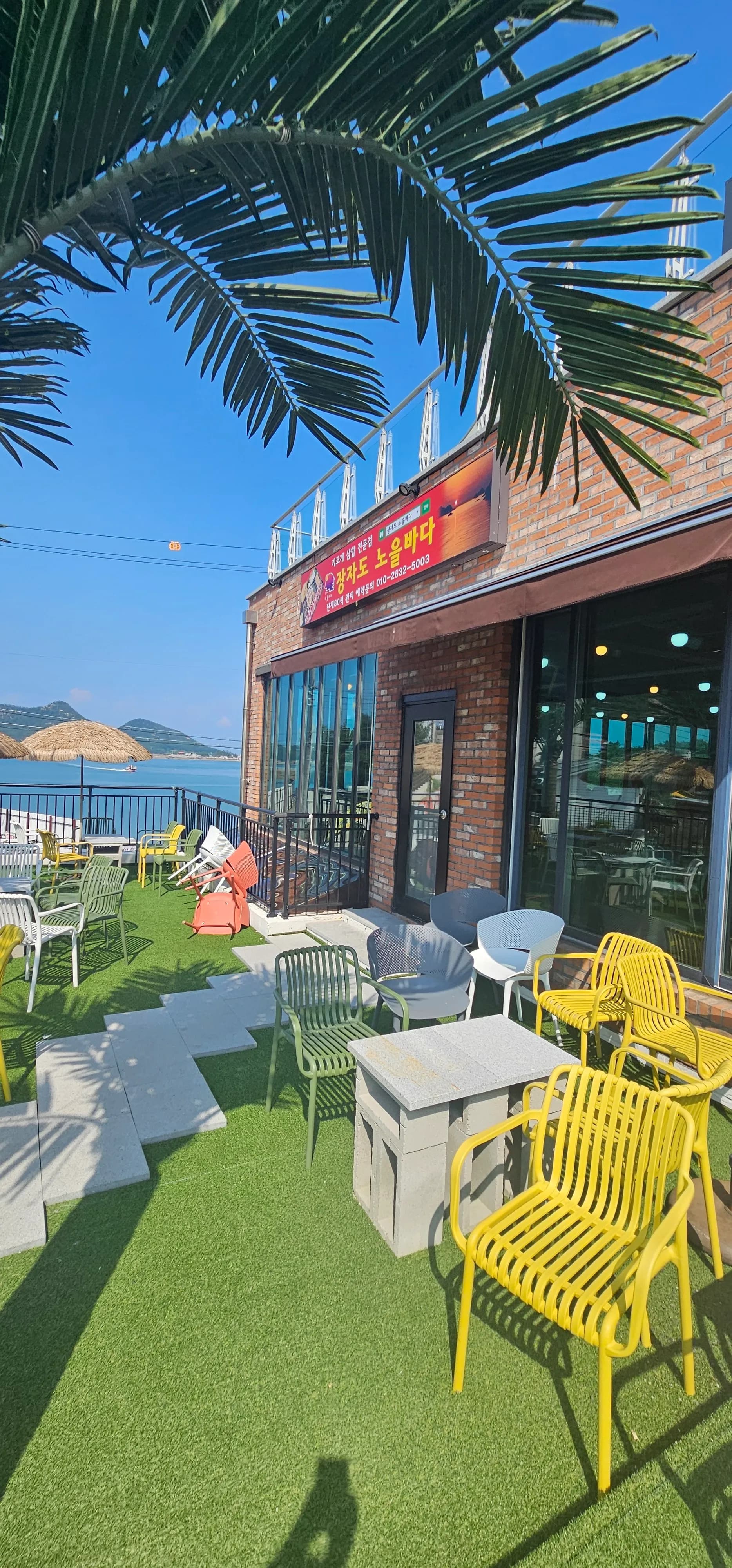 야자수 사이로 보이는 가까운 바다와 하늘 장자도 풍경 | 하이제이에스비