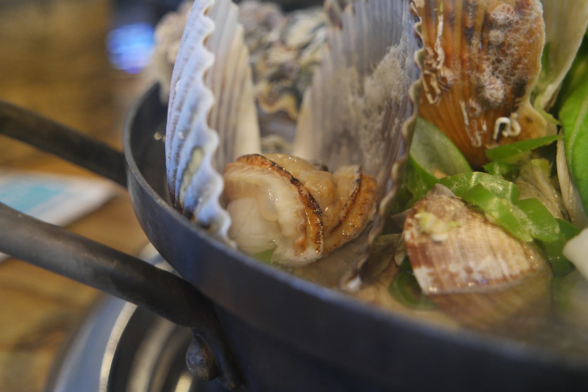 조개찜 속 가리비 — 부채 모양 껍데기와 달큰한 살이 특징인 한국 조개찜 재료 | 하이제이에스비