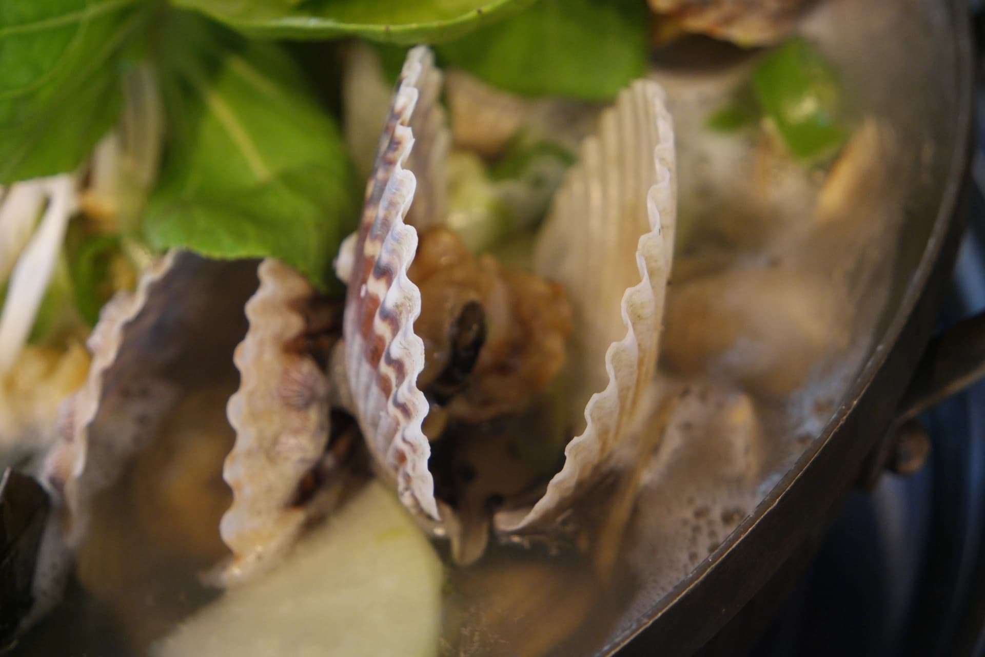 한국 조개찜 냄비 전체 구성 — 가리비 키조개 각종 조개 채소가 층층이 담긴 모습 | 하이제이에스비