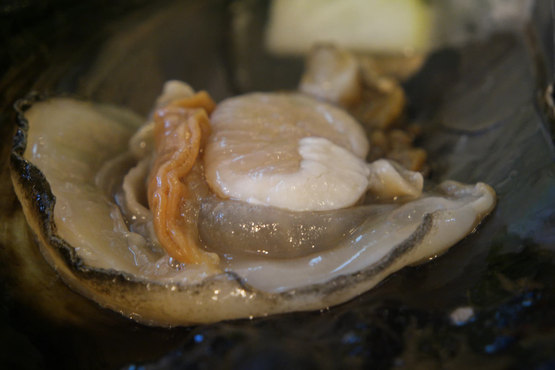 키조개 관자 클로즈업 — 조개찜으로 익힌 키조개 관자의 두툼한 단면 | 하이제이에스비